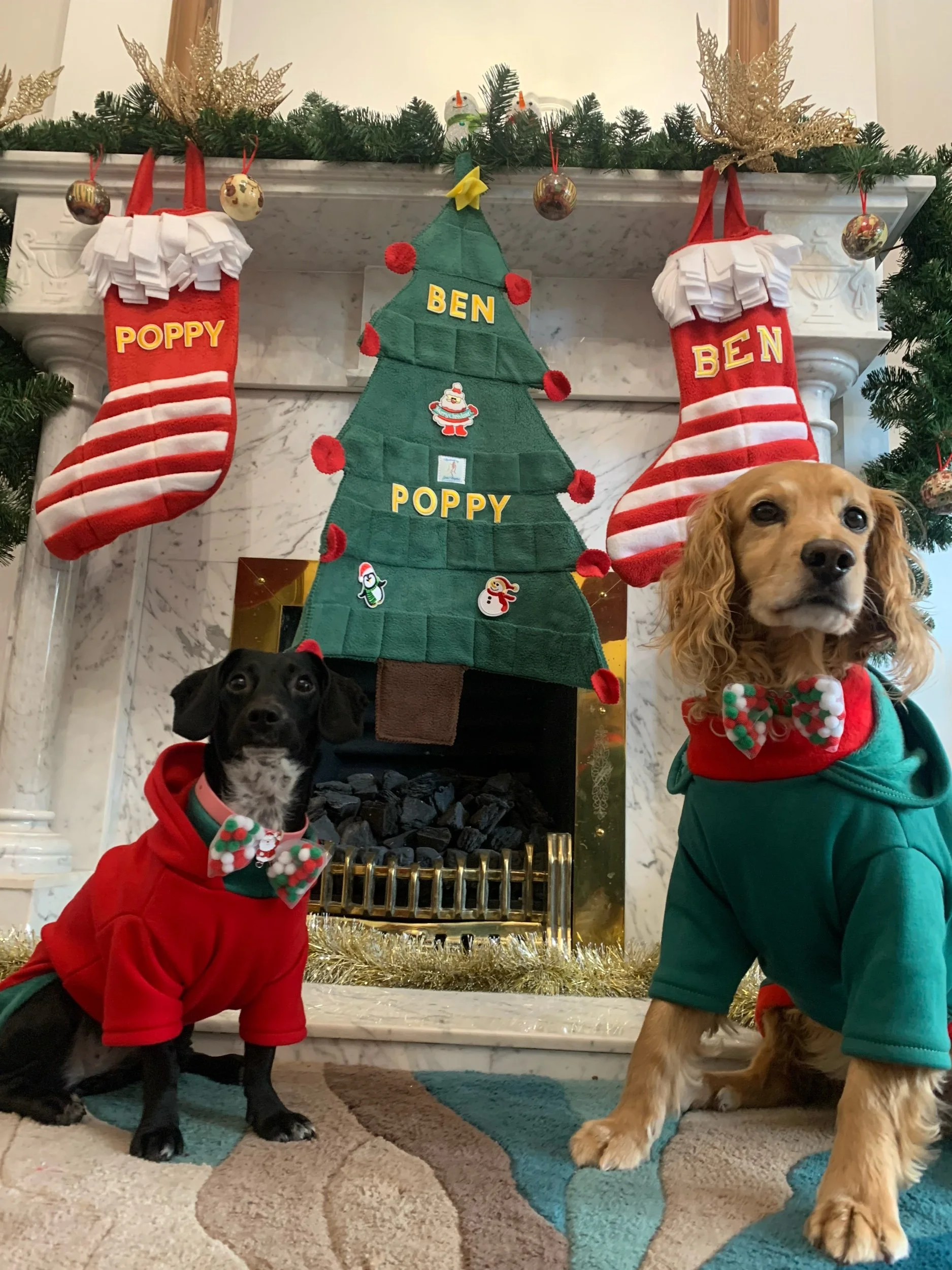 Dog Advent Calendar Snuffle pudding an interactive dog toy for mental stimulation, handmade slow feeder made in Ireland making the perfect local Christmas gift