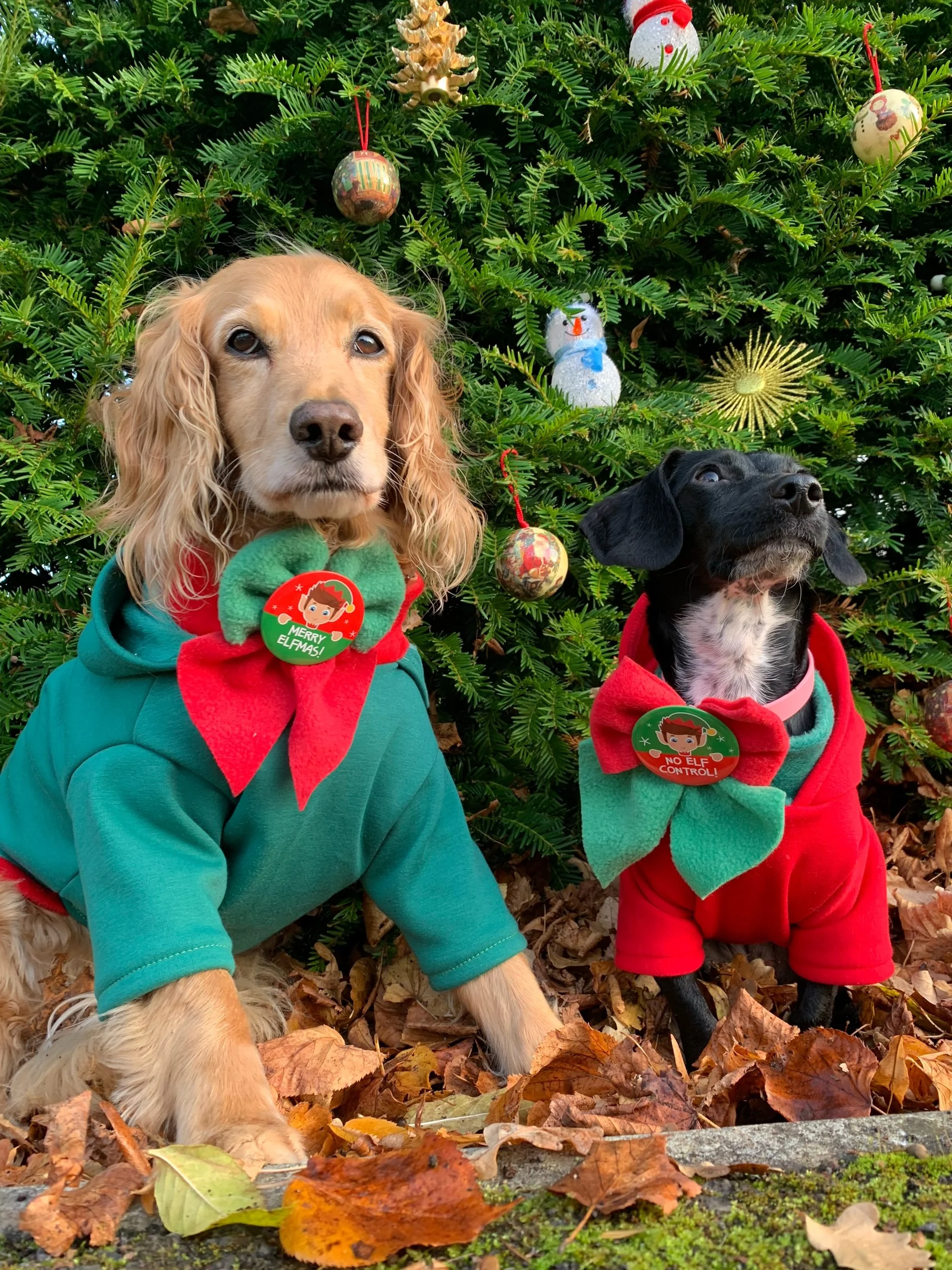 Dog Christmas Bow