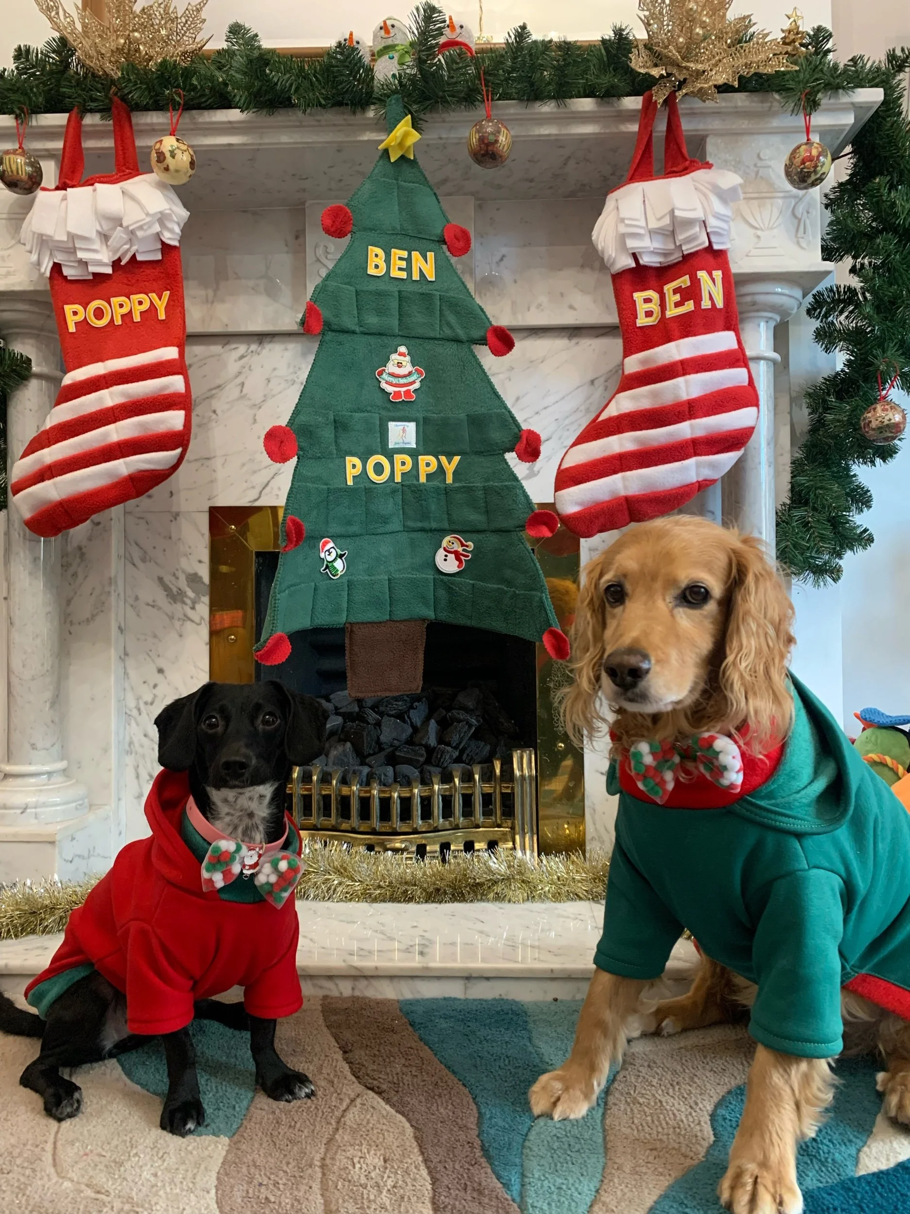 Dog Stocking Snuffle pudding an interactive dog toy for mental stimulation, handmade slow feeder made in Ireland making the perfect local Christmas gift