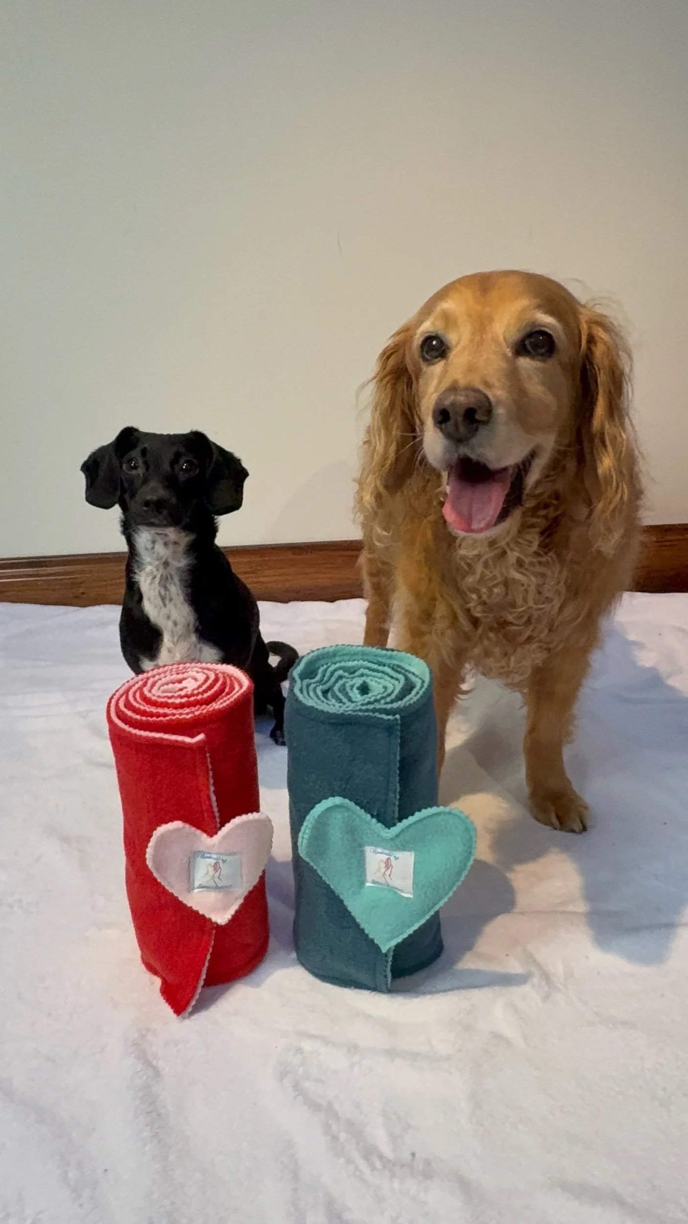 Love Letter💌 - “To The One I Love” ❤️