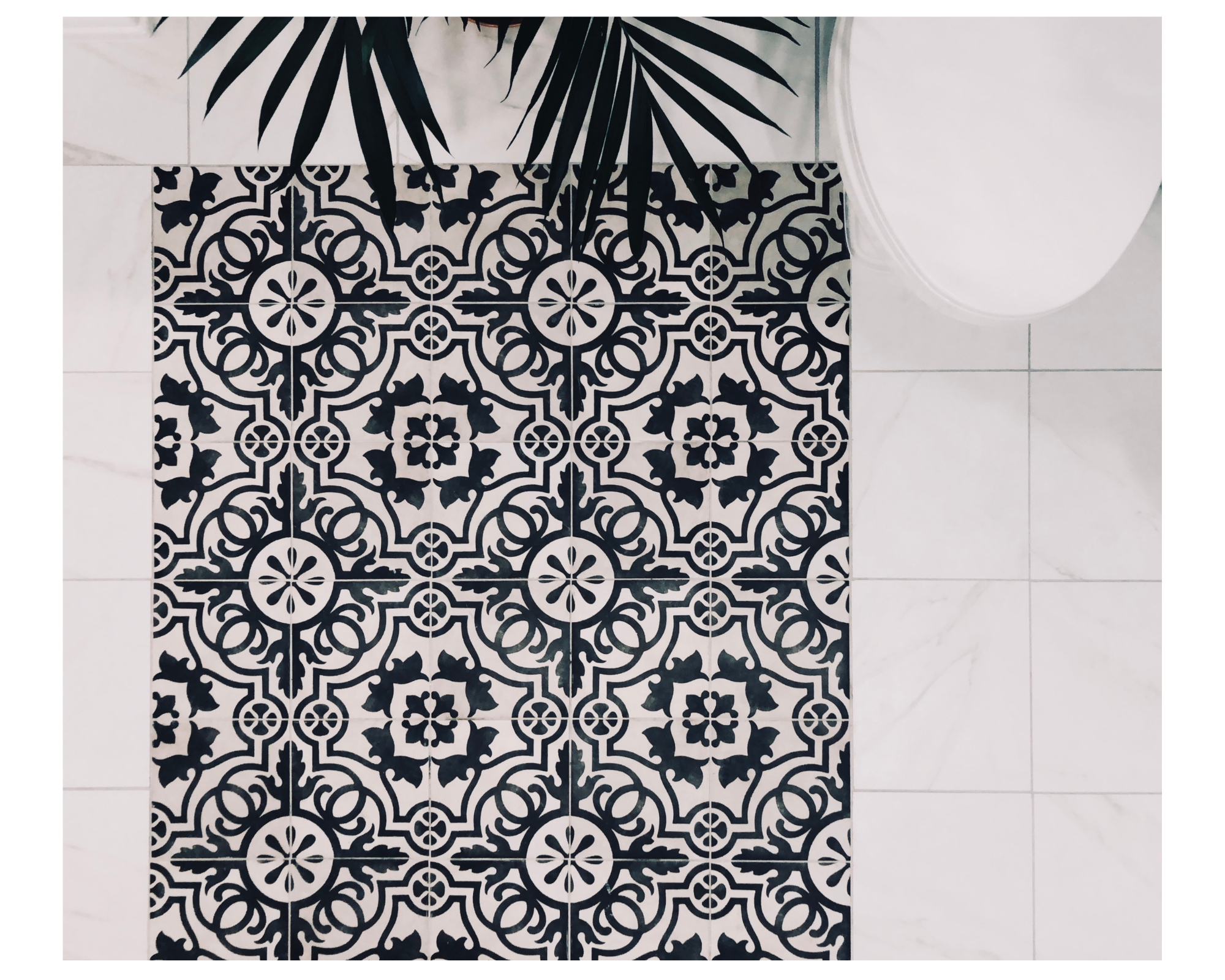 (Photo Credit: Geneva Watford)