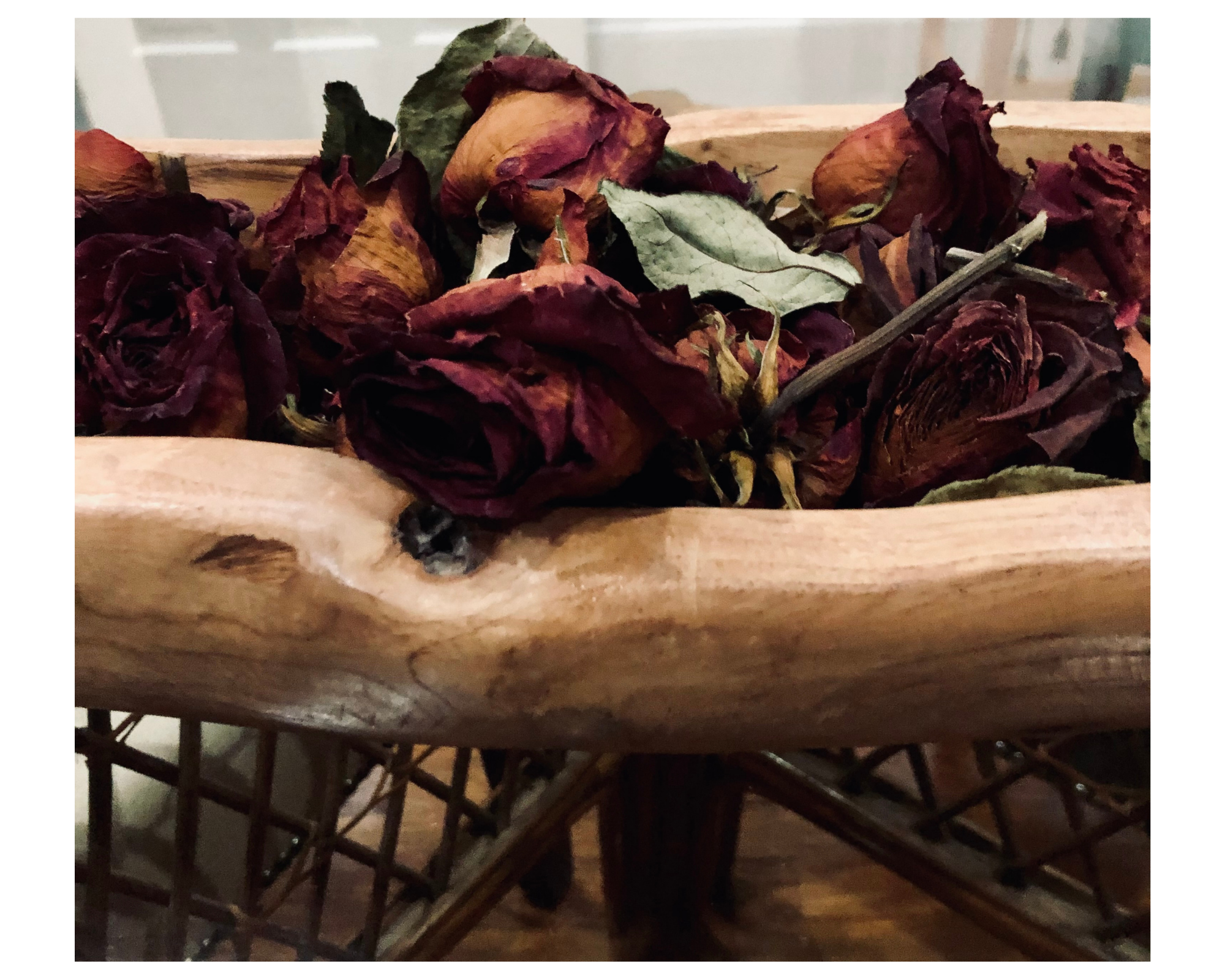 (Photo Credit: Geneva Watford)