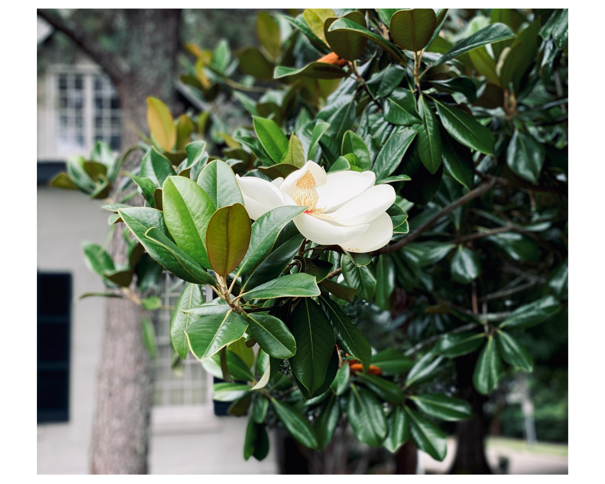 (Photo Credit: Geneva Watford)