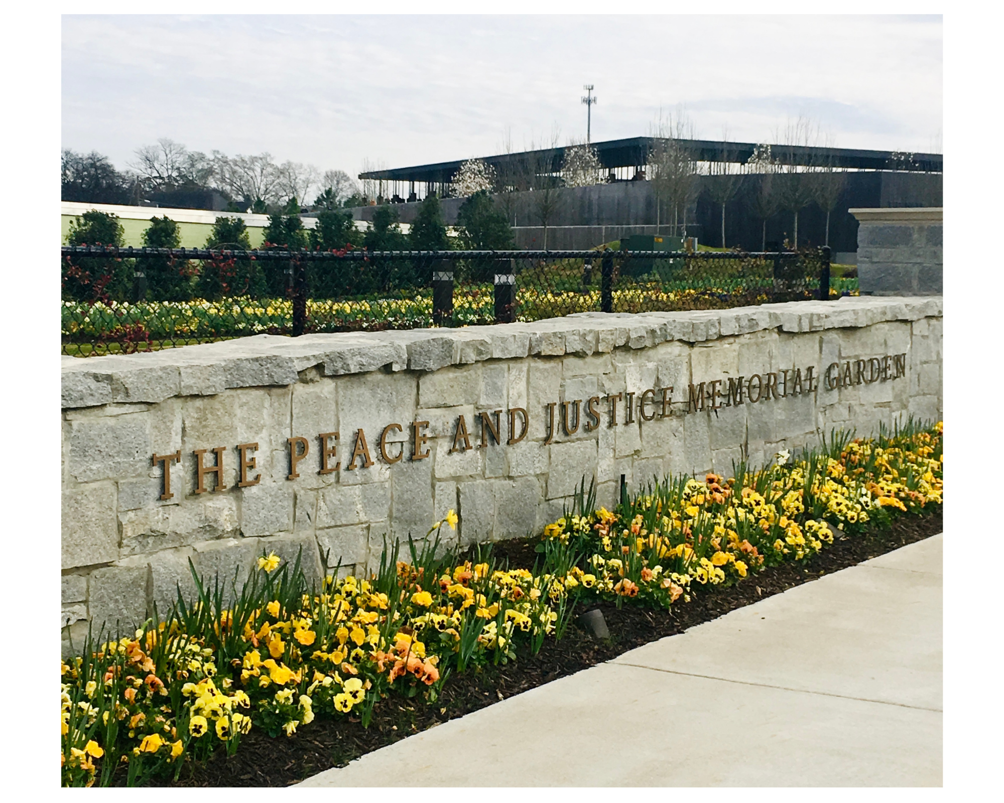 Peace and Justice Memorial 
(Photo Credit: Geneva Watford)