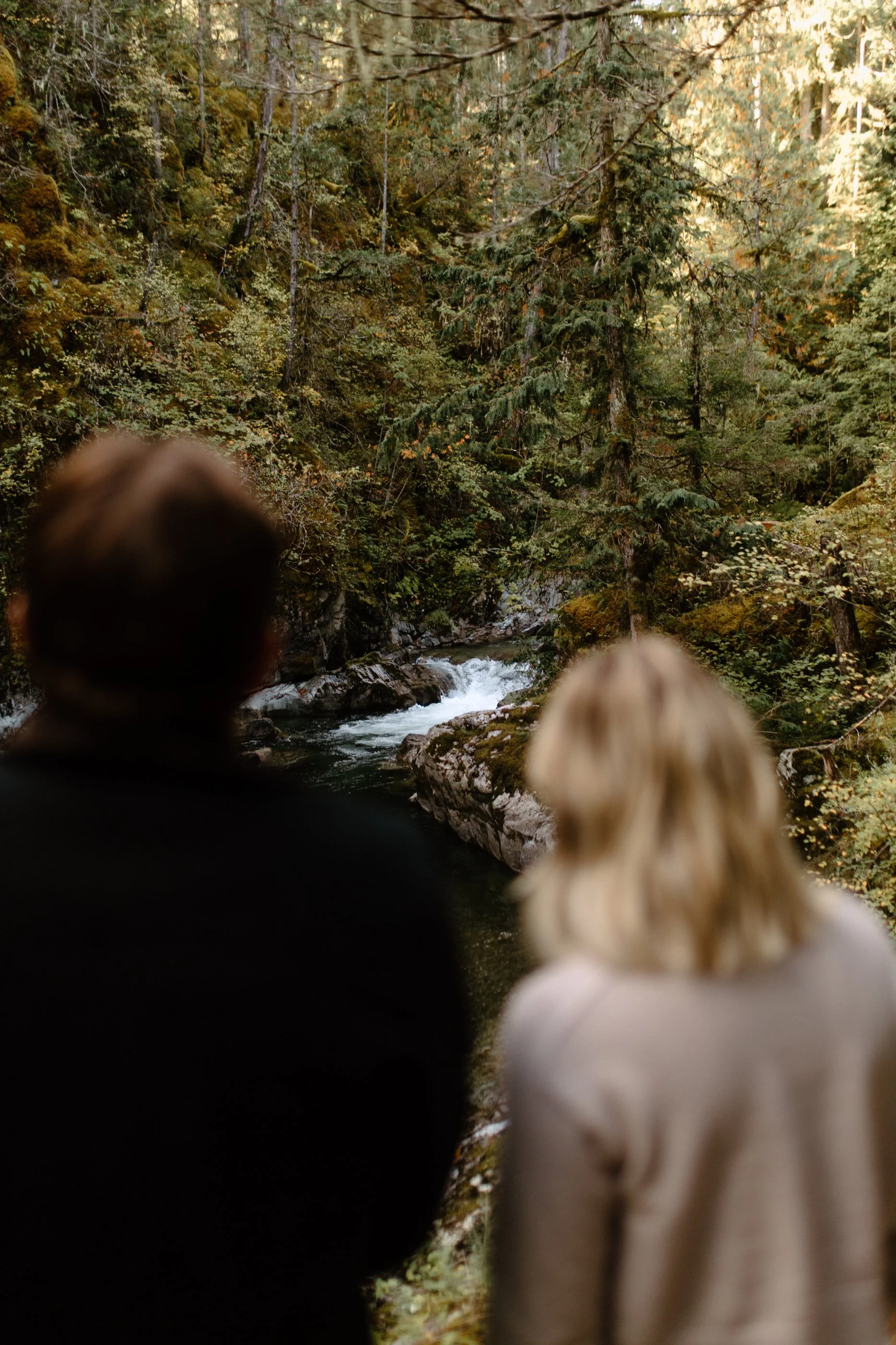 Blurred view of two people with their backs looking at a forested landscape with trees and a stream.
