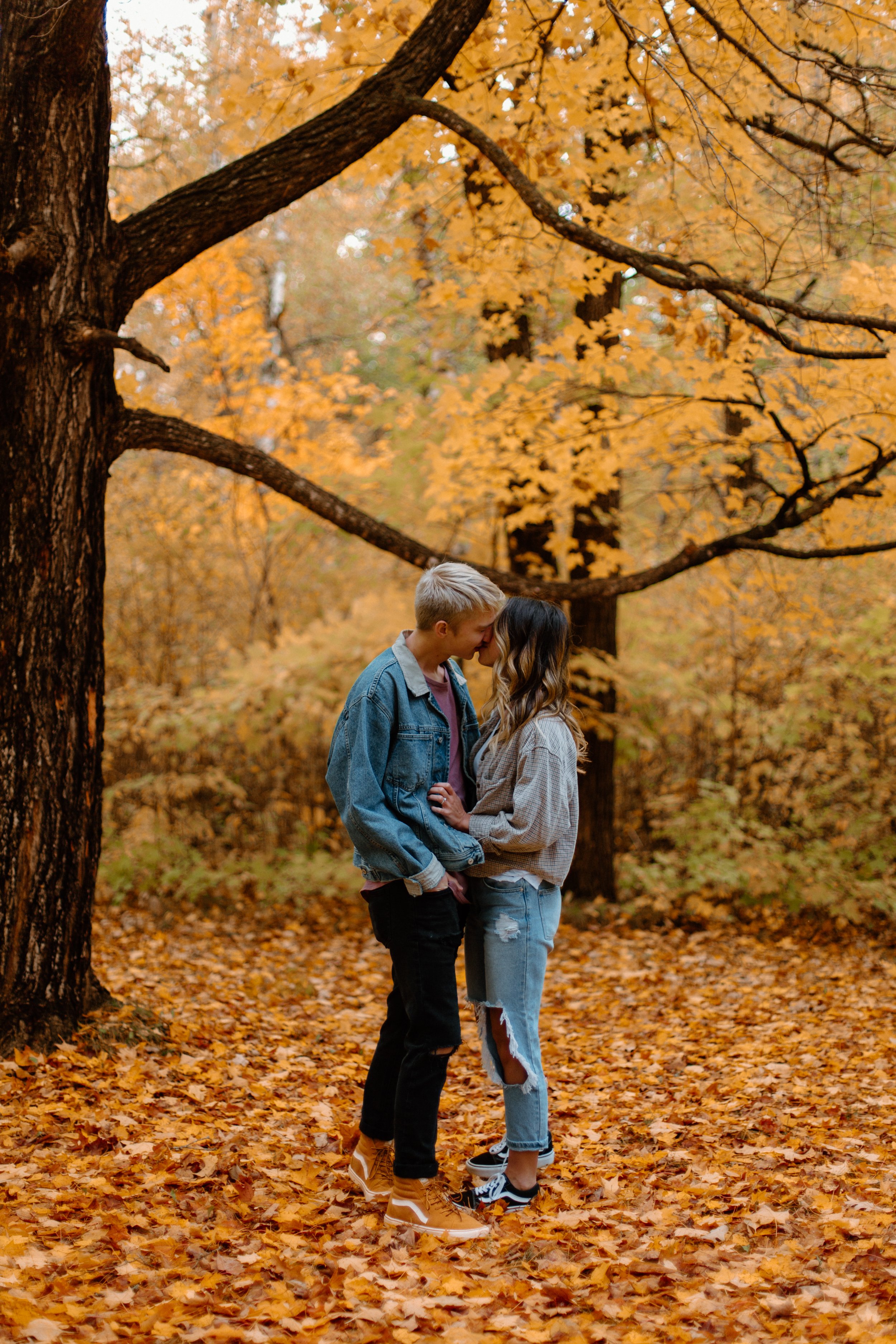 A young couple standing close together in an autumn forest with golden leaves on the tree and ground, about to kiss.