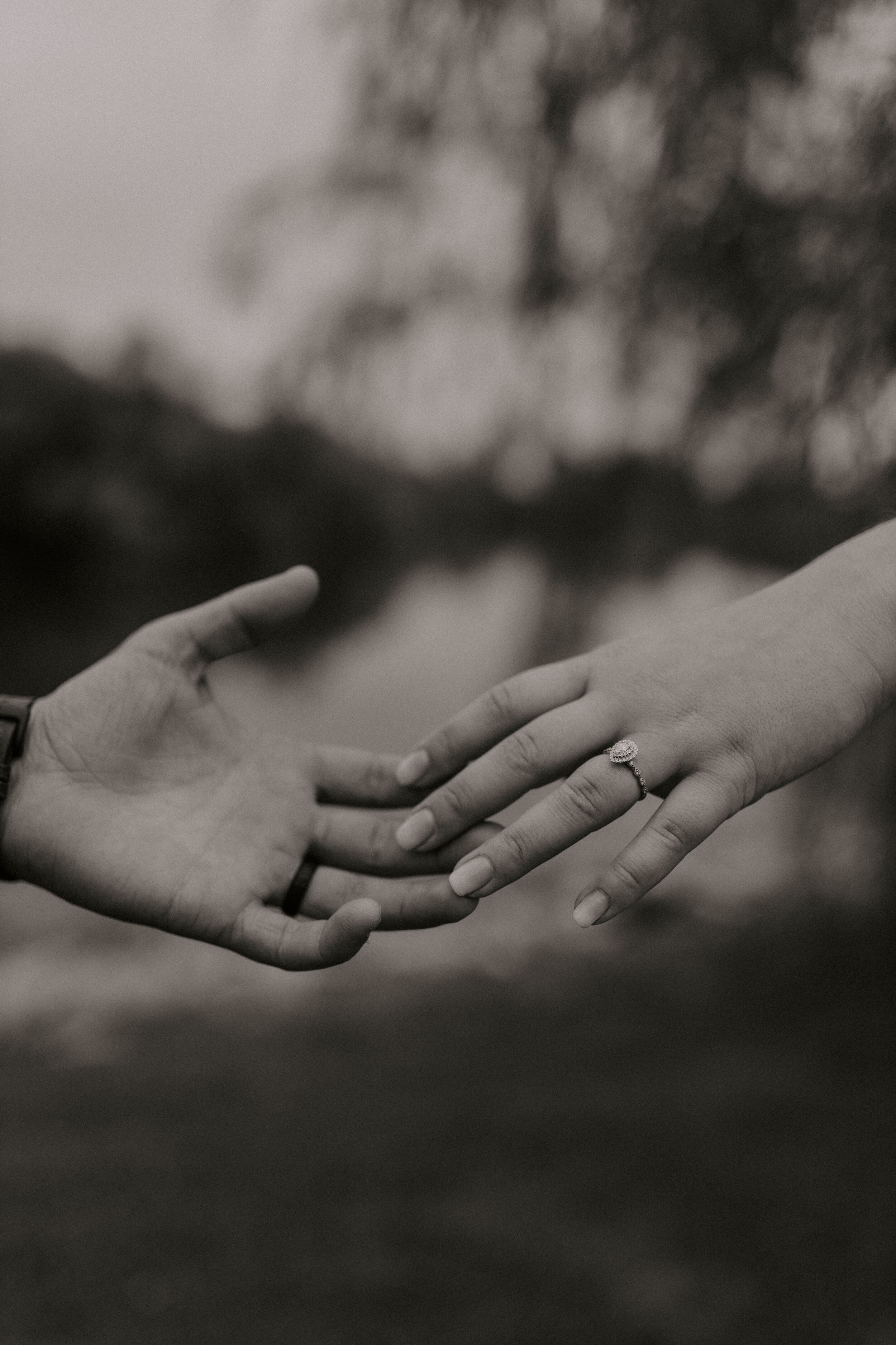 Two hands gently hold each other, with one hand featuring a ring with a large gemstone, set in a decorative band, indicating a possible engagement or wedding ring. The background is blurred with tree branches, emphasizing the focus on the hands.