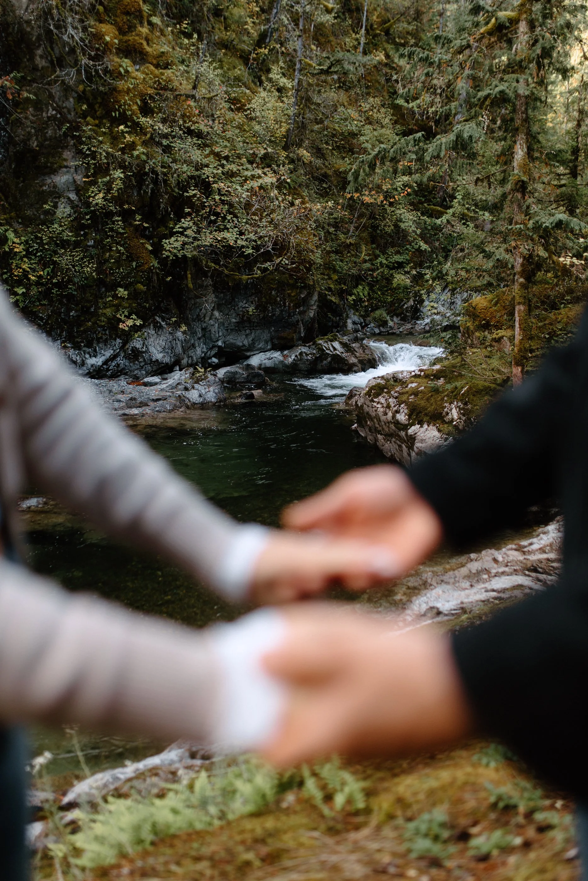 A forest scene with a flowing stream, rocks, trees, and moss, seen through the blurred foreground of a person's hand and fingers.