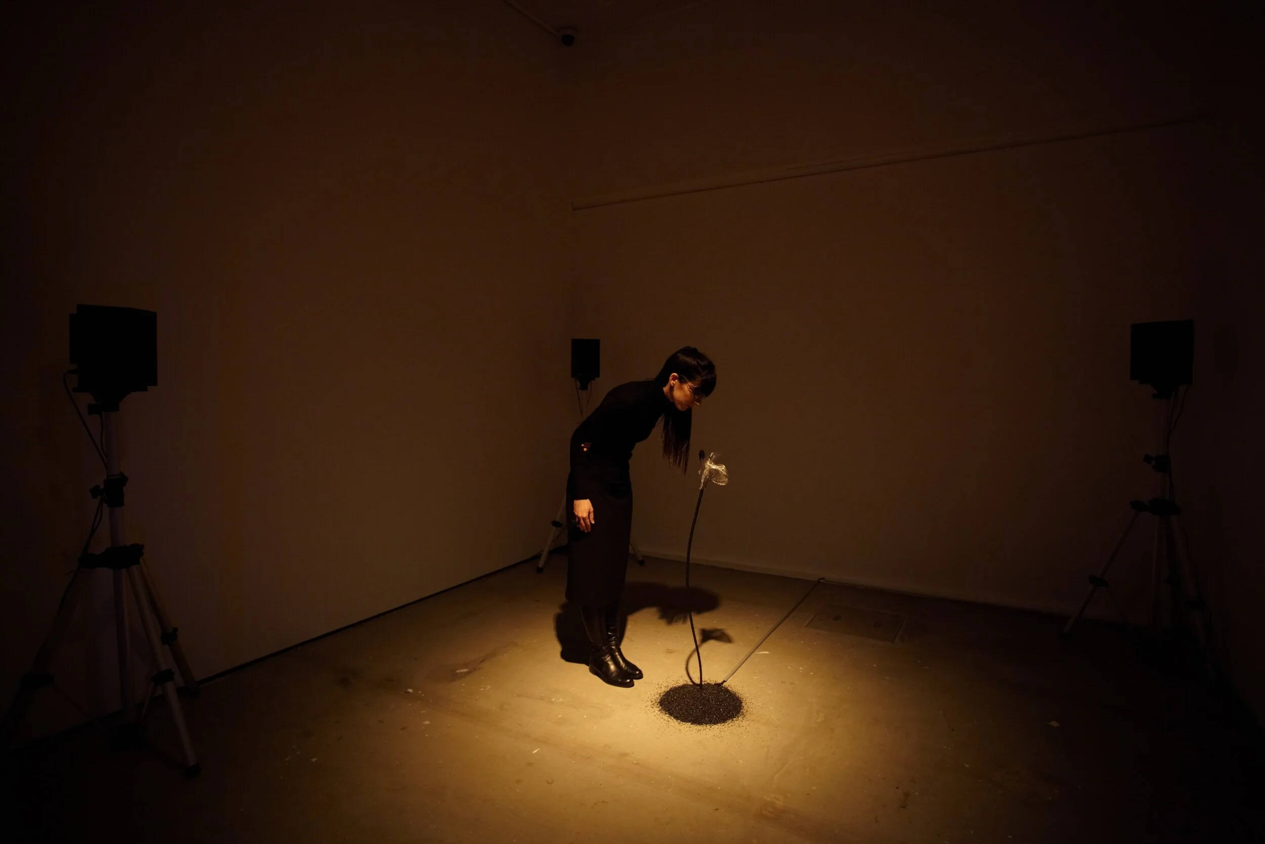 Carla-Cisno-TWS2012.jpg