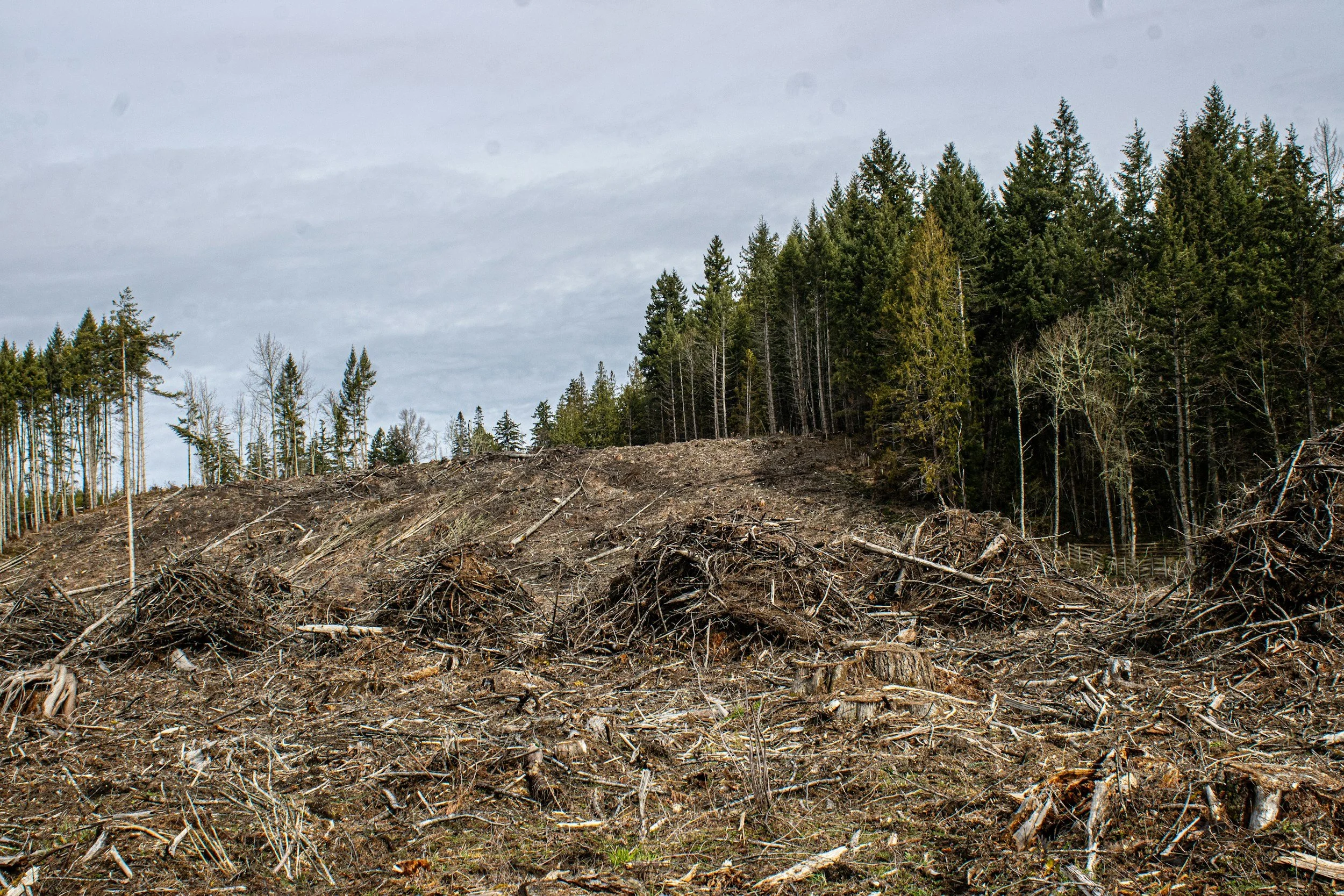 Utveckling får inte betyda att naturen röjs undan