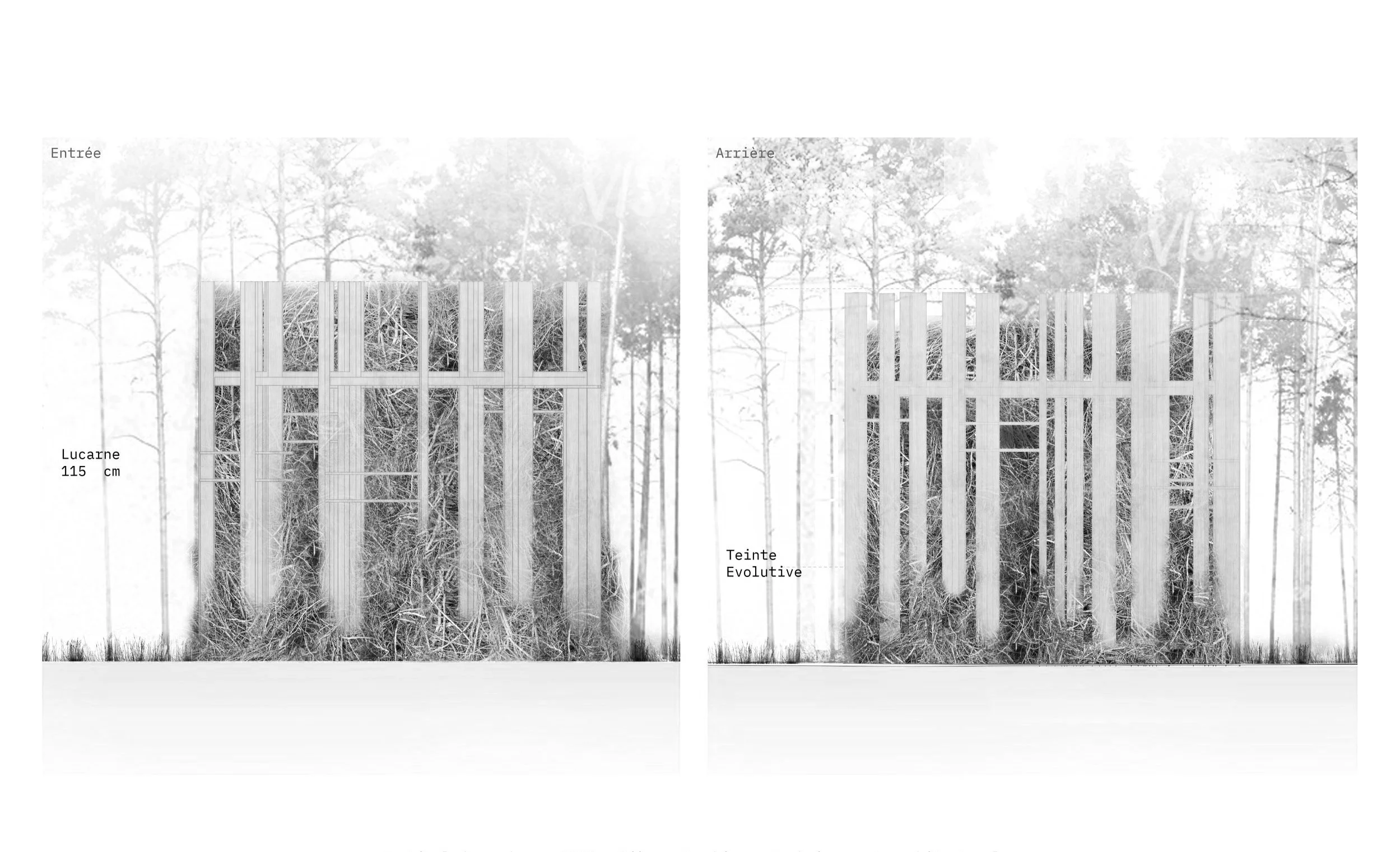 Schéma illustrant la construction d'une clôture en bois avec des panneaux, vue de face et arrière, mettant en évidence la hauteur de 115 cm et le processus d'évolution de la teinte du bois.