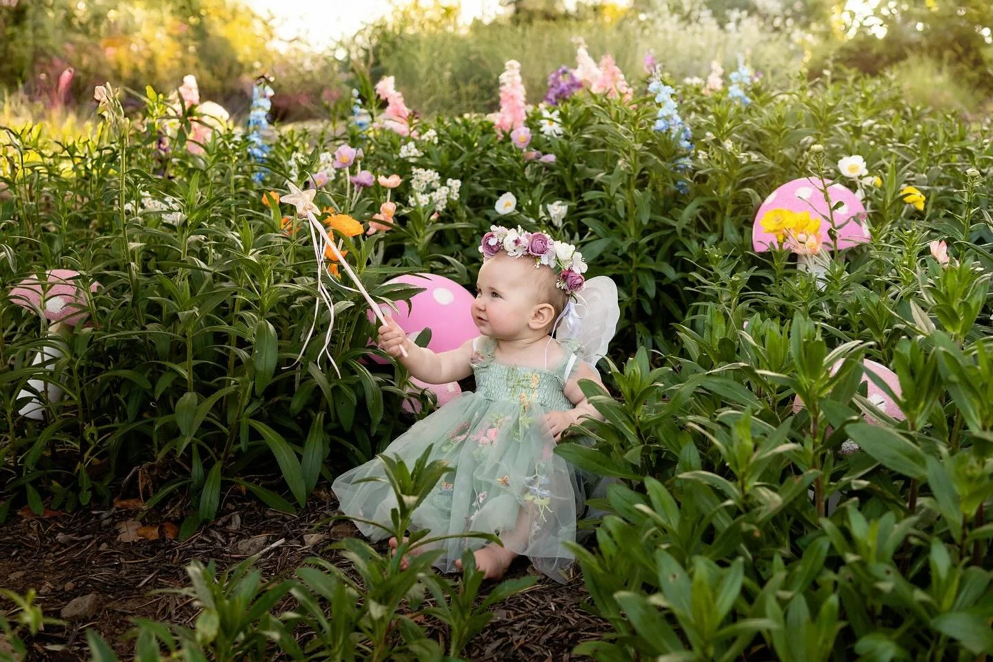 Have a magical weekend ✨🧚&zwj;♀️

#sonomacountyphotographer #marincountyphotographer #familyphotographer #newbornphotographer #birthdayphotography #sonomacounty