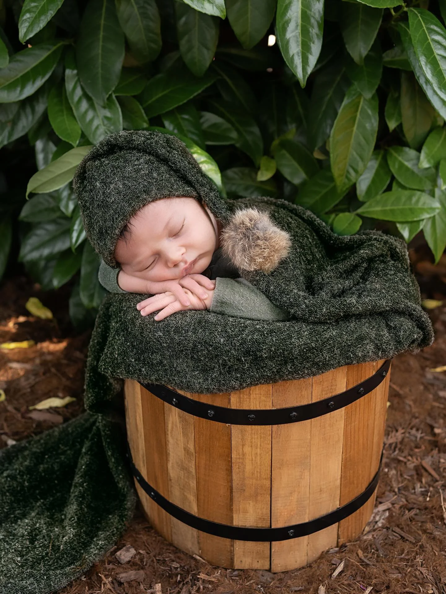 I have been loving these outdoor newborn sessions lately 🍃

#sonomacountyphotographer #marincountyphotographer #newbornphotography #newbornphotographer #familyphotographer #sonomacounty