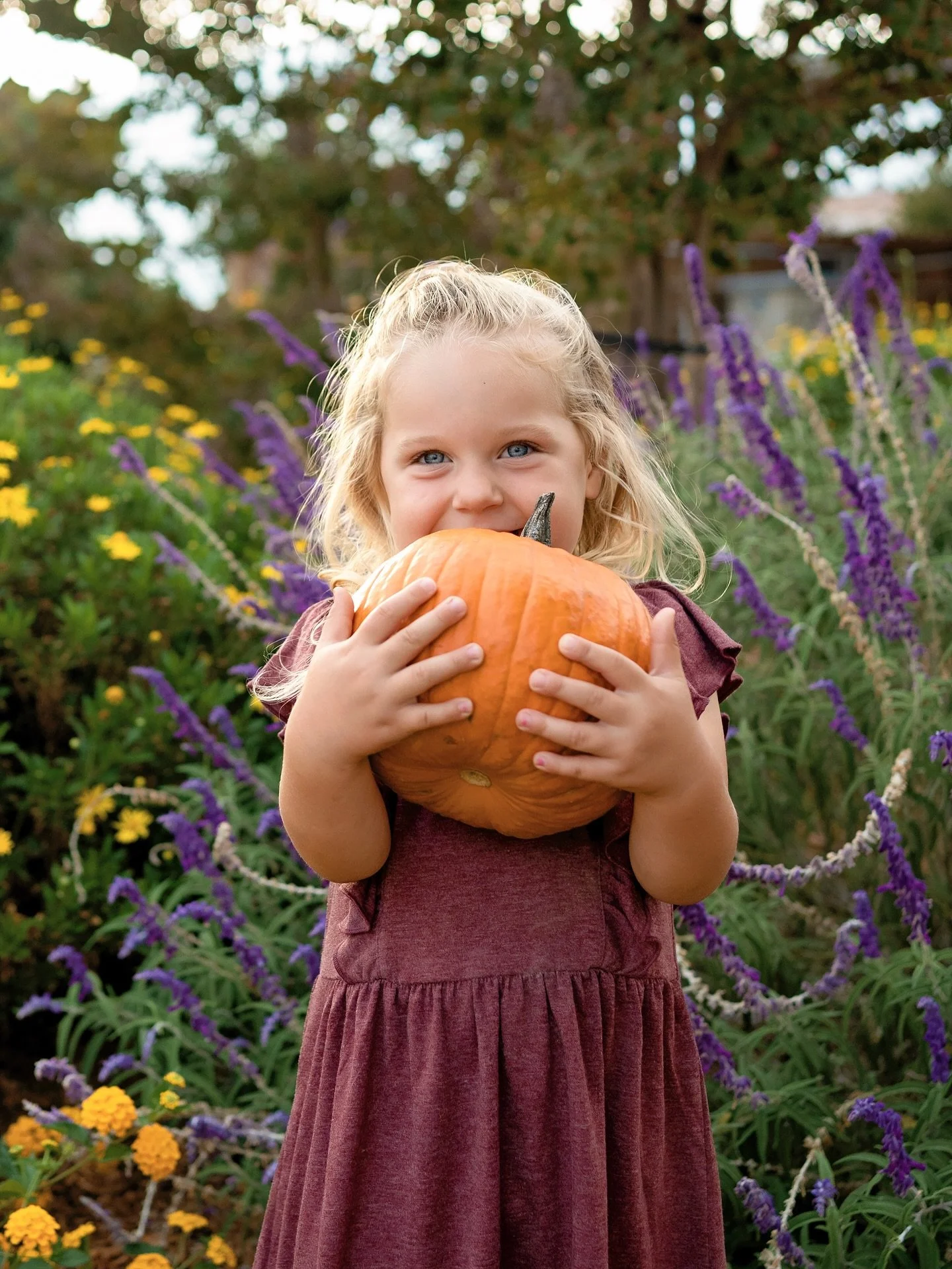 Happy THIRD birthday to this cute little pumpkin! This year&rsquo;s photos were taken at the lovely @gamboninifamilyranch ❤️ Swipe to see some sweet photos from birthdays past 🥹 Birthday portraits are my favorite!

#sonomacountyphotographer #marinco