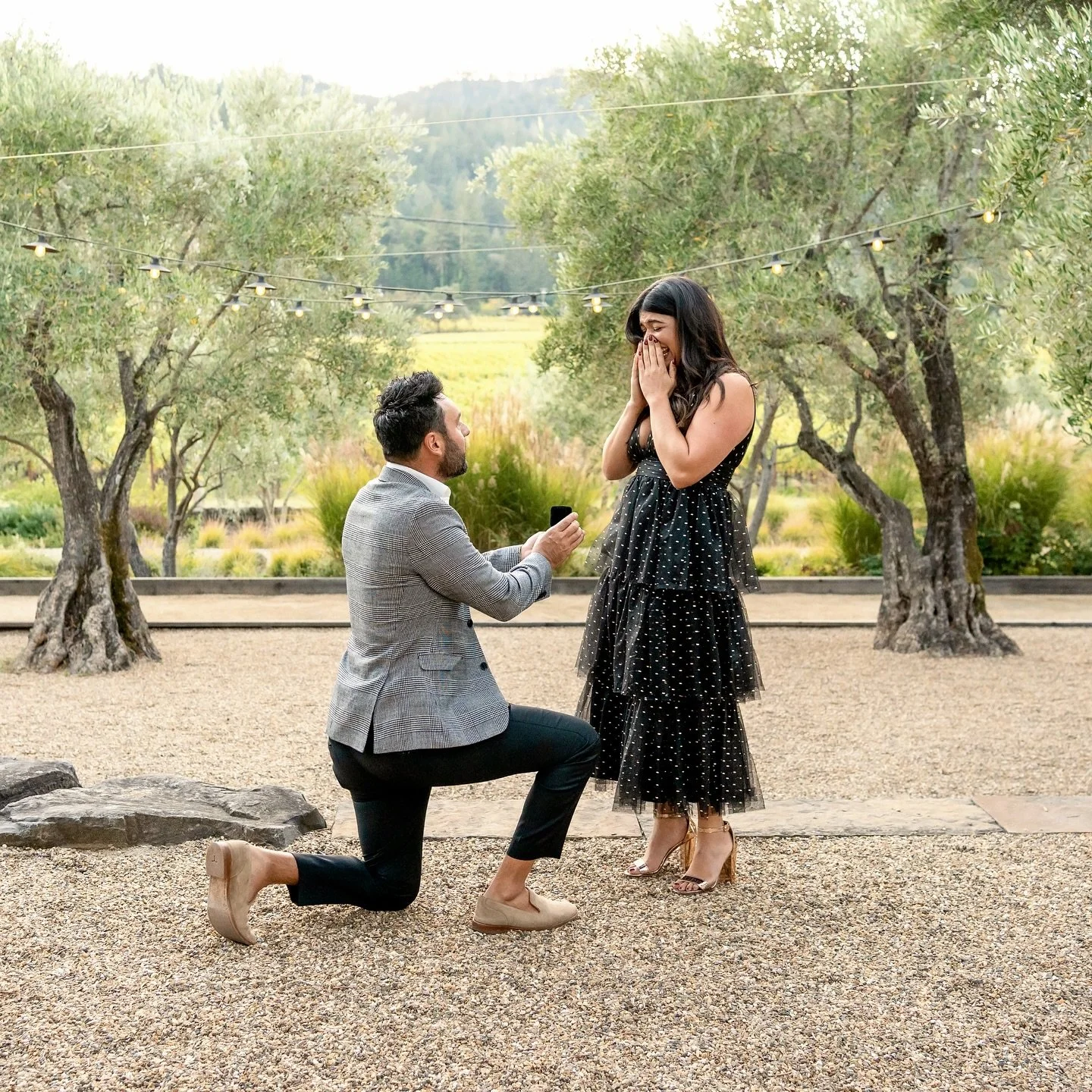 Still pinching myself that I got to photograph this dreamy proposal! So excited for these two ❤️

#sonomacountyphotographer #marincountyphotographer #napaphotographer #proposal #engagmentphotography