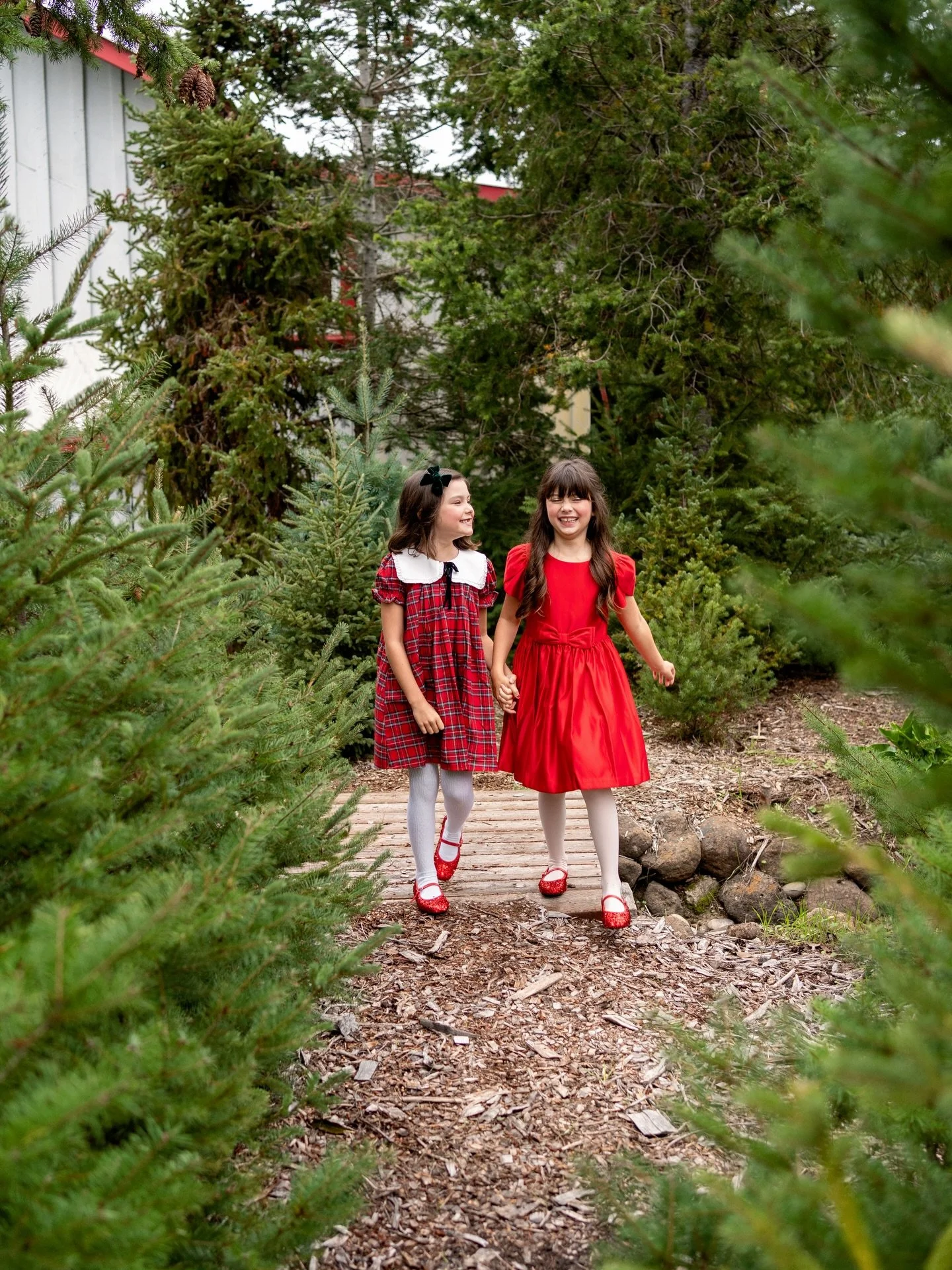 It&rsquo;s the most wonderful time of the year 🎄

I have availability for two Christmas tree farm mini sessions this month! Send me a DM to book ❤️

#sonomacountyphotographer #marincountyphotographer #familyphotographer #christmasphotography