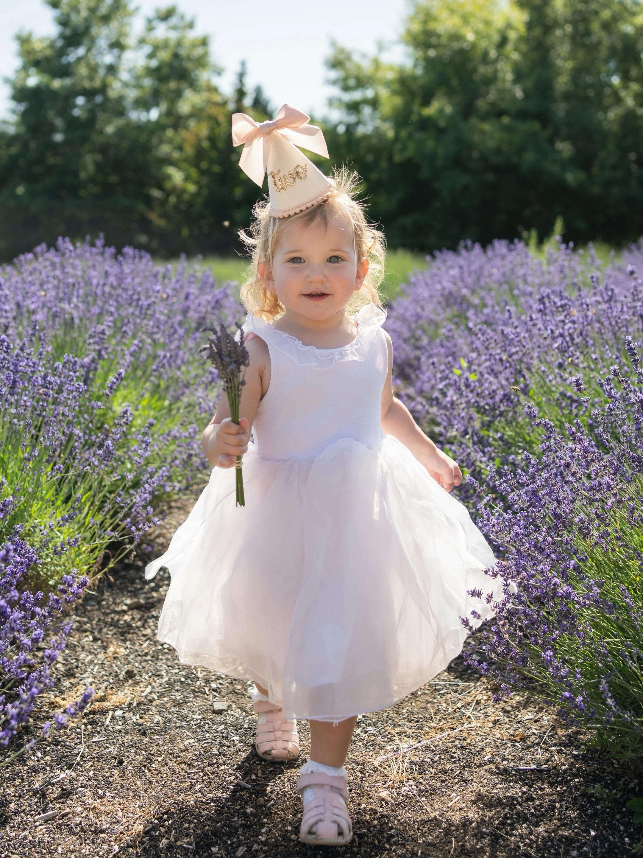 Happy second birthday to this little fairy princess 💕🧚🌸

#sonomacountyphotographer #marincountyphotographer #familyphotographer #birthdayphotography #birthdayportraits