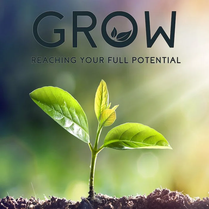 Grow - Individual Streaming Access