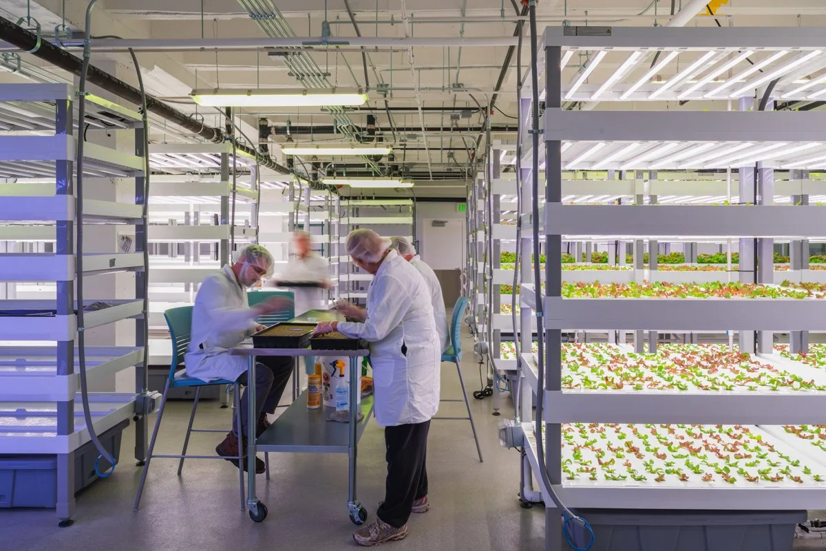 mow set 2 reduced (1 of 13).jpeg