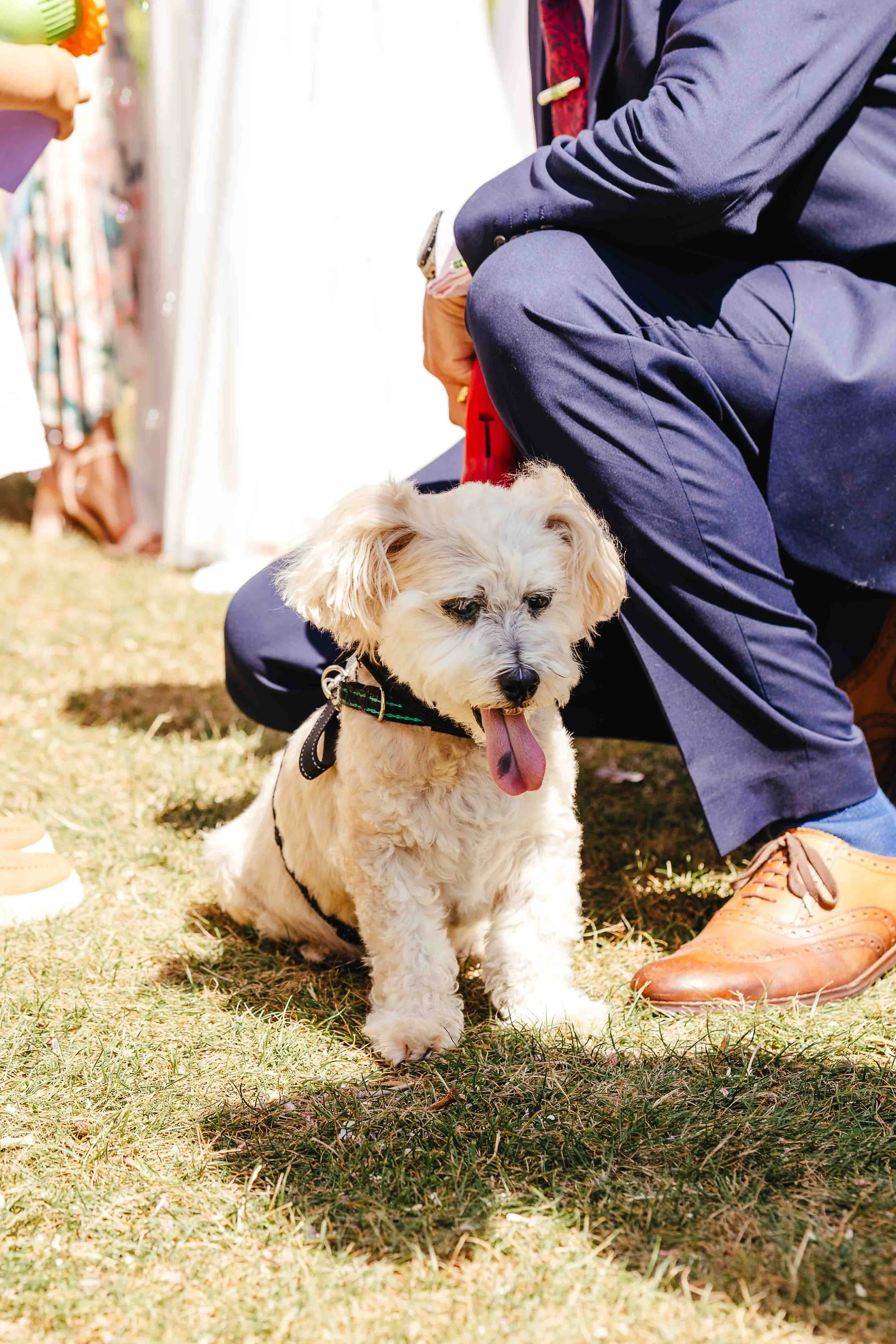 Temple of Minerva Wedding Photographer