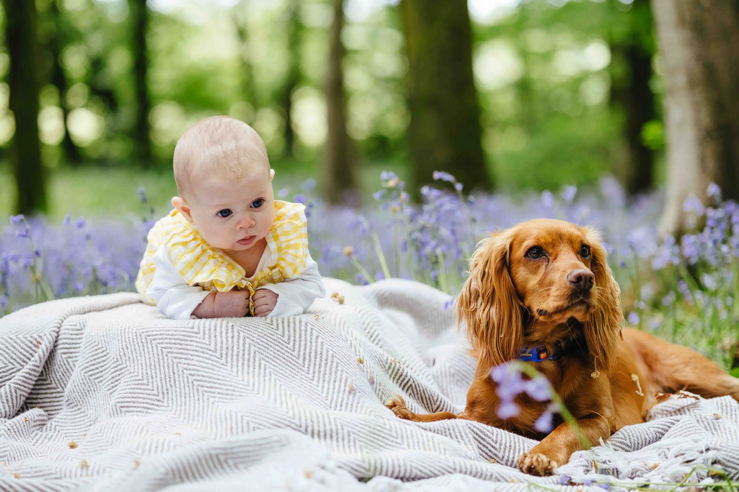 Family_Photographer-Freya-Steele-Photography-7.jpg