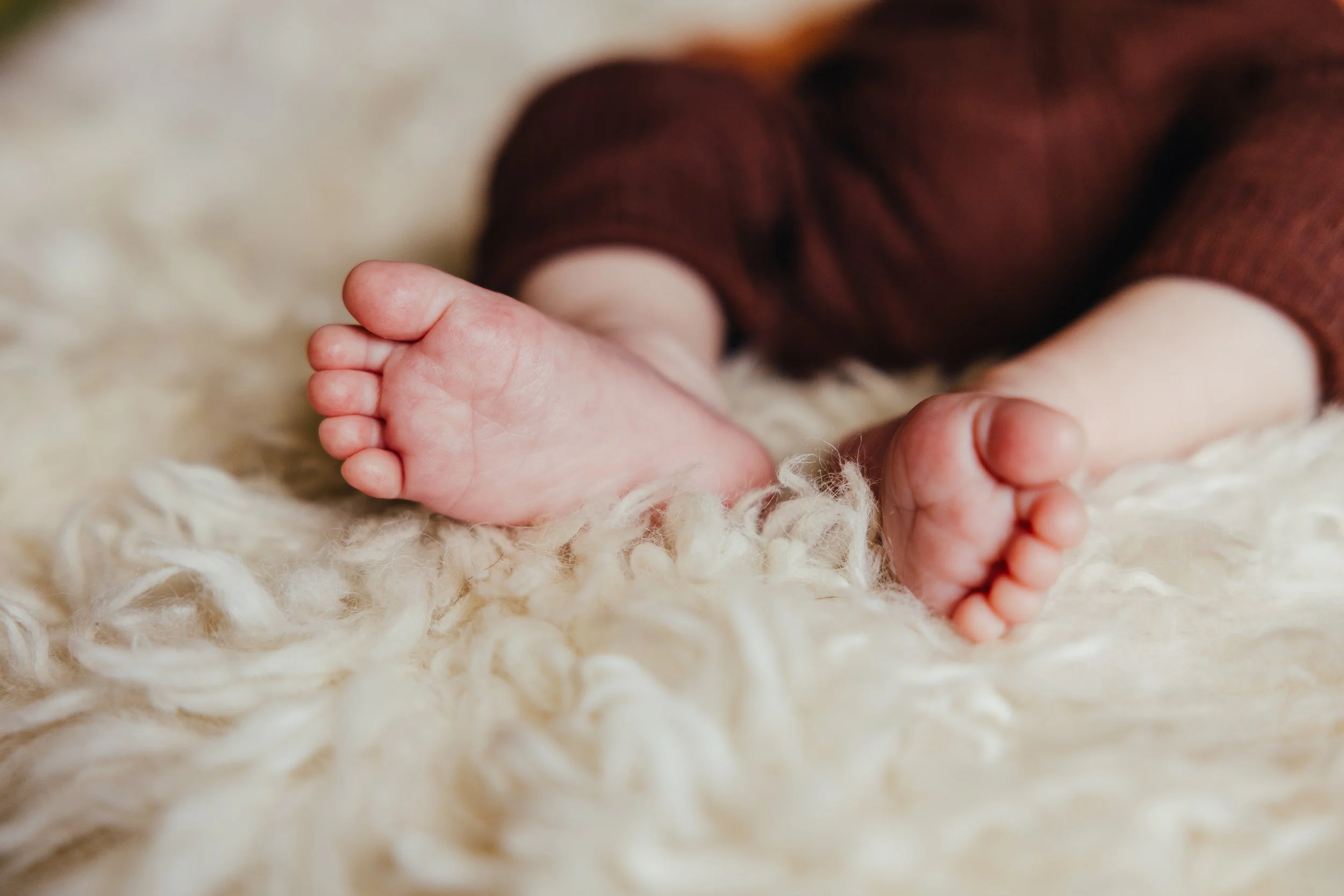 Newborn_Photograher-Freya-Steele-Photography-2.jpg