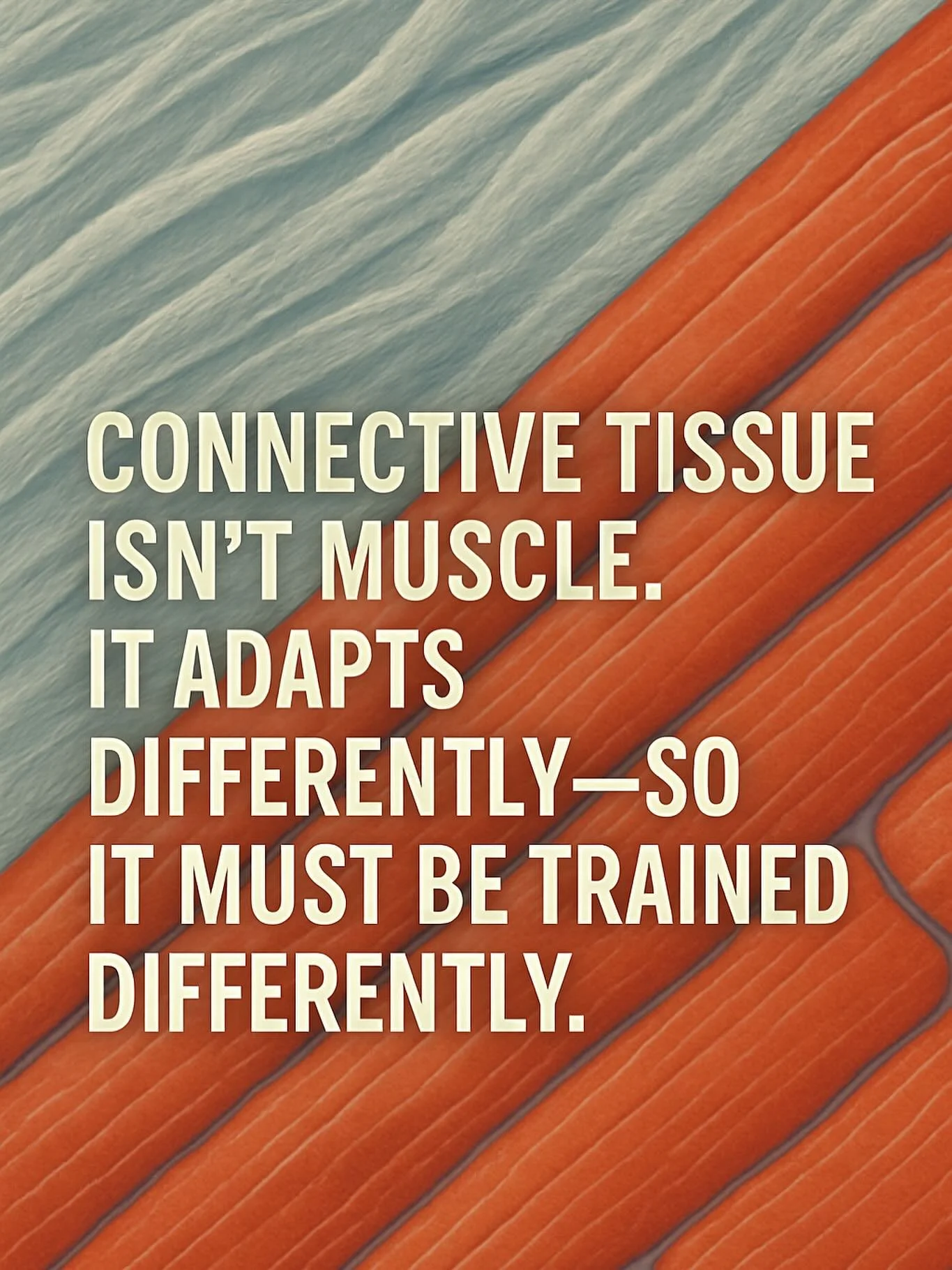 Is your strength or rehab model missing the mark?
Don&rsquo;t overlook the role of connective tissue&mdash;it&rsquo;s often the key to resolving chronic injuries, breaking through performance plateaus, and building long-term resilience.

Muscle and c