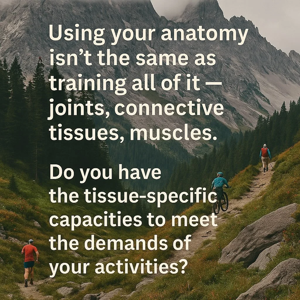 You might enjoy moving through nature — but is your anatomy keeping up?
Using your anatomy isn’t the same as training it.
Tissue-specific adaptations require more than just exposure to terrain.
Your joints, connective tissues, and muscl