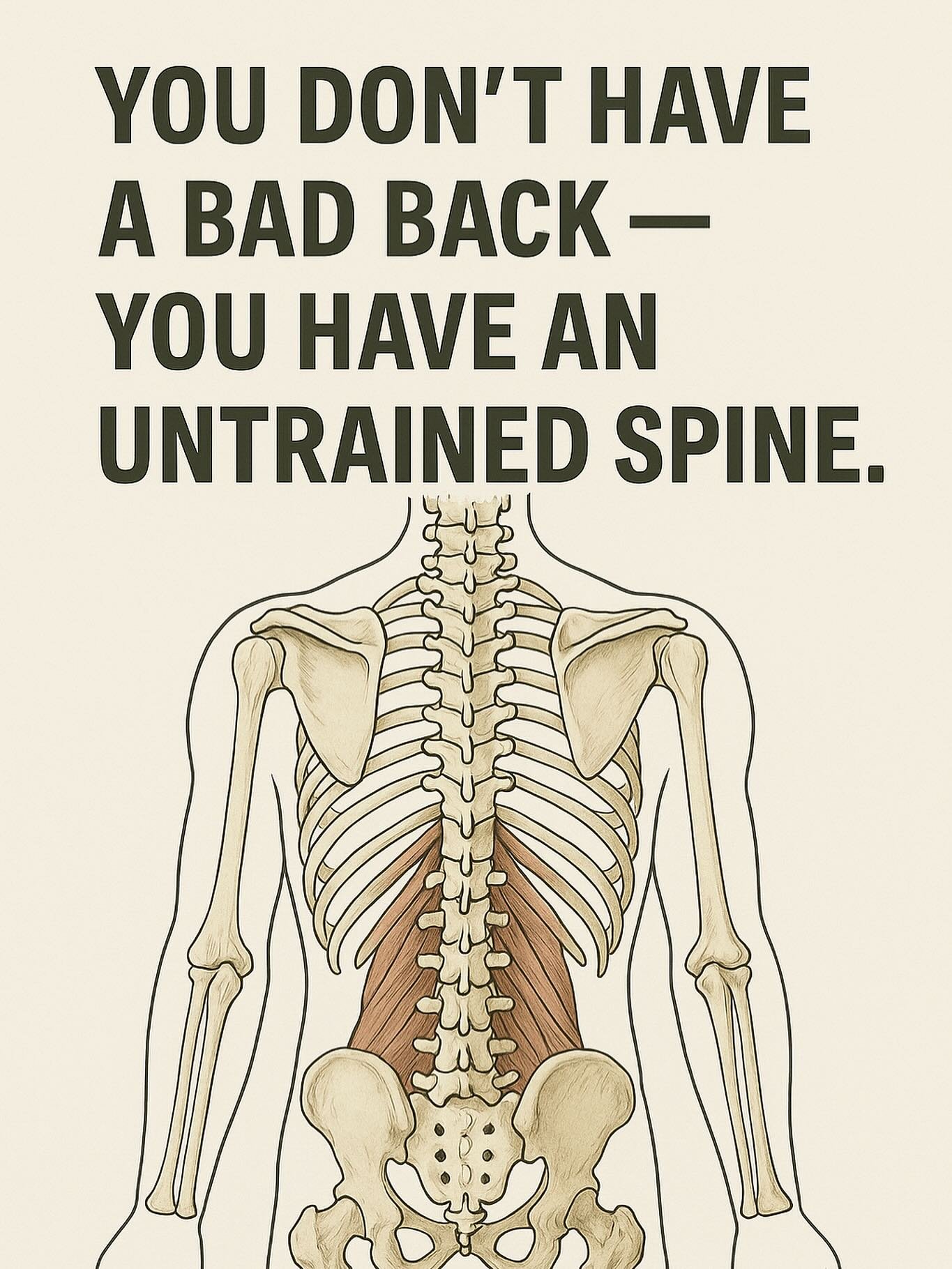 You don&rsquo;t have a bad back &mdash; you have an untrained spine. Most people don&rsquo;t know spinal tissues can be trained, let alone how. But relevant, progressive input is not optional for resilient tissues.

Train it. Don&rsquo;t tiptoe aroun