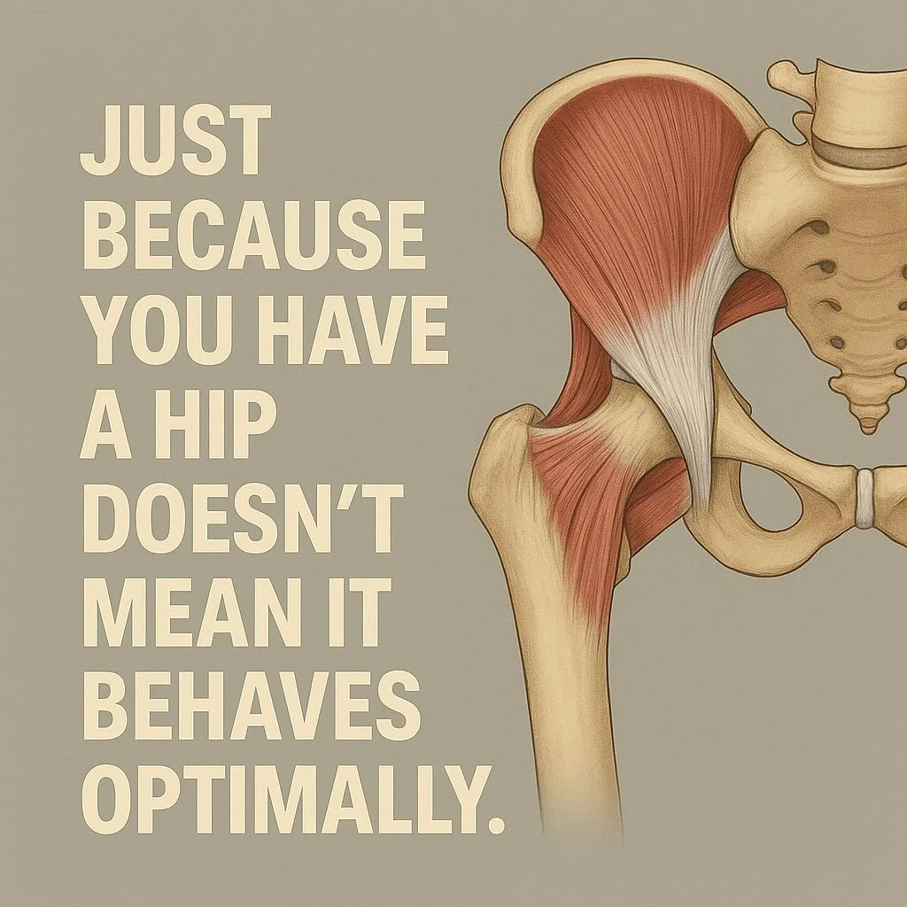 Optimal hip function requires tissue-specific training &mdash; not just &ldquo;glute max work.&rdquo;

True hip capacity is built at the joint, connective, and muscular level, specific to you, your goals, and your limitations.

The difference between