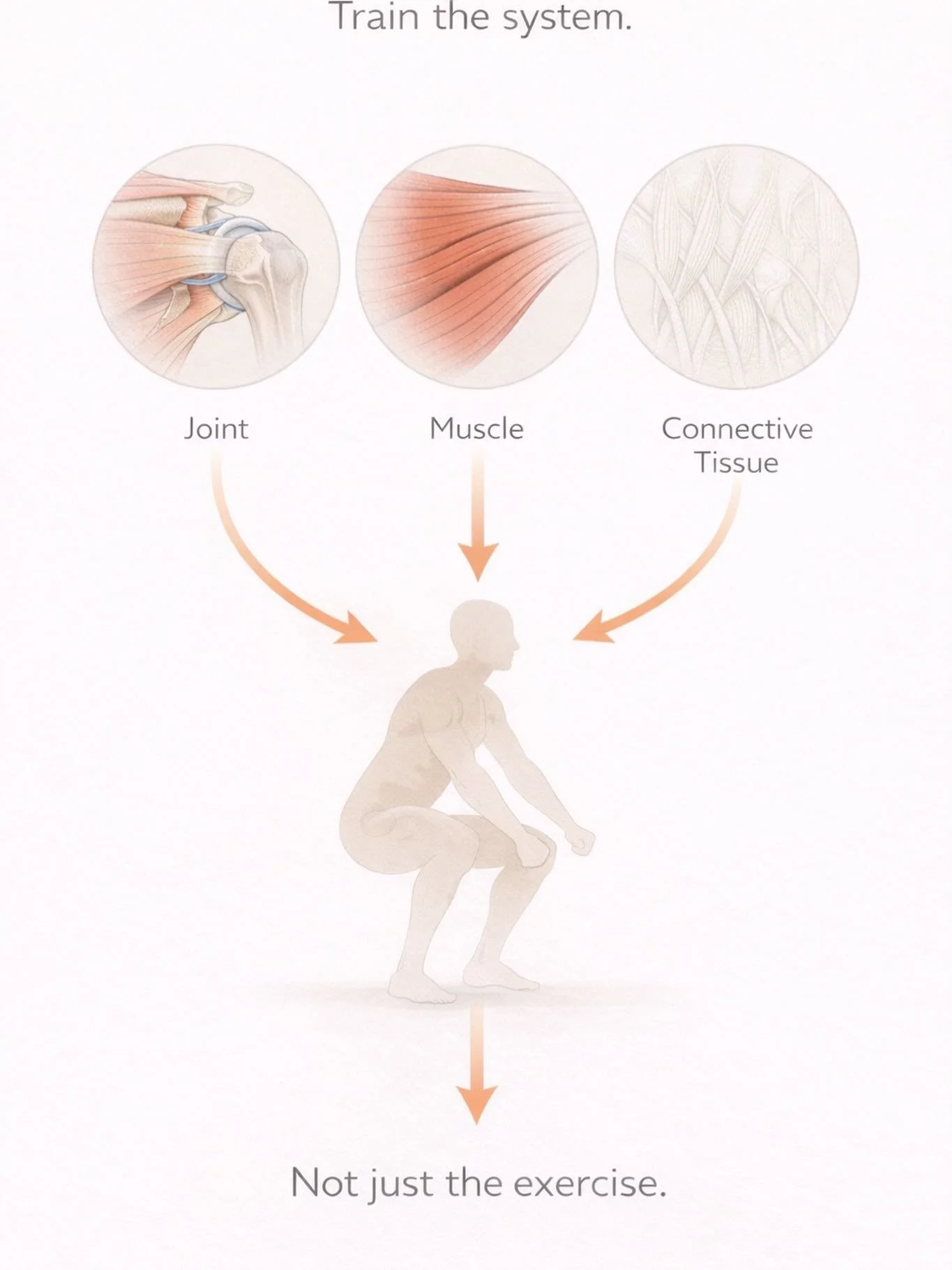 Just because you&rsquo;re moving doesn&rsquo;t mean your work is reaching the tissues that need it.

1️⃣Joint capacity.
2️⃣ Connective tissue behavior.
3️⃣ Muscle output.
❗️These aren&rsquo;t the same thing &mdash; and exercise alone doesn&rsquo;t co