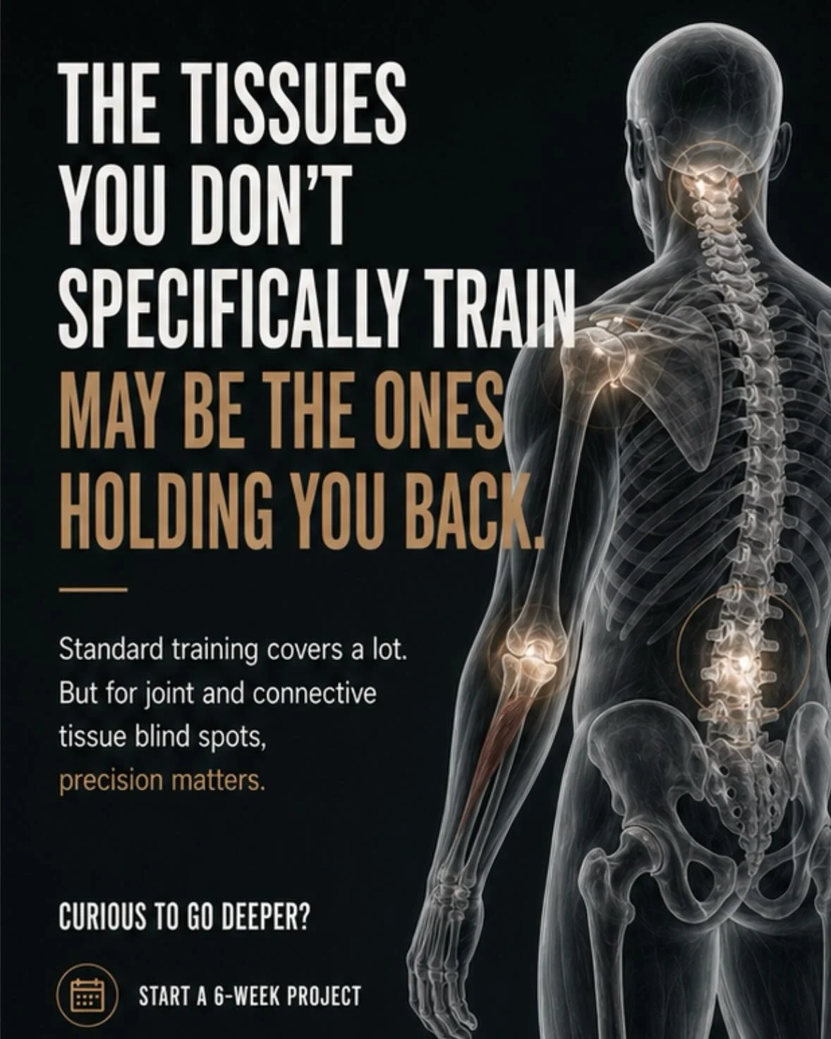 You&rsquo;re consistent.
You&rsquo;re training hard.
But you might be skipping the details that matter most.

The anatomy you leave untrained
is often the lowest-hanging fruit.

Especially when dealing with:

Pain
Tightness
Compensations
Recurring is