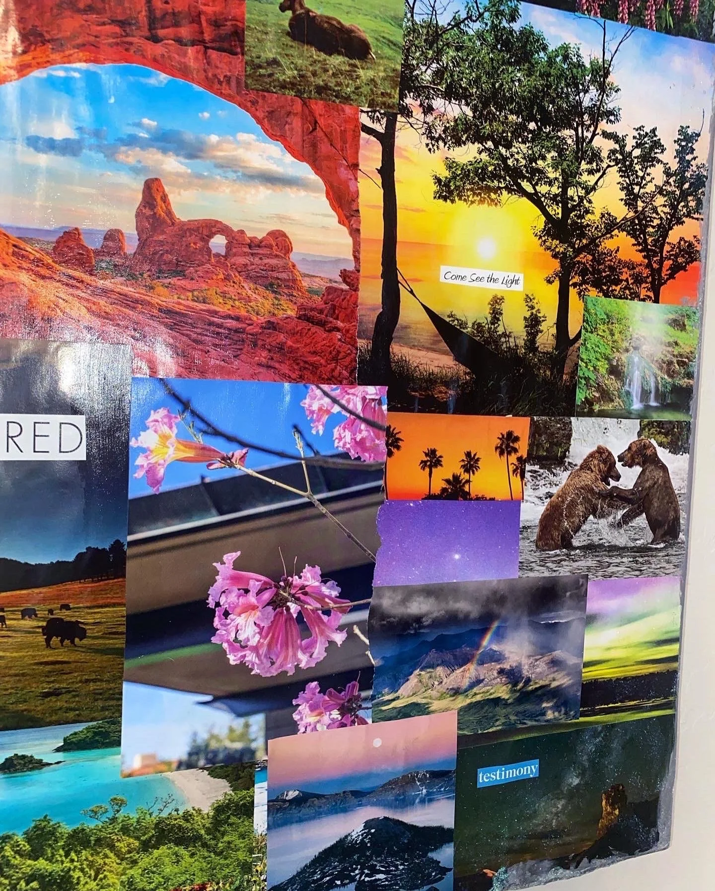 Creating Mixed Media Collages: Tips, Techniques, and Ideas - Contagion ...