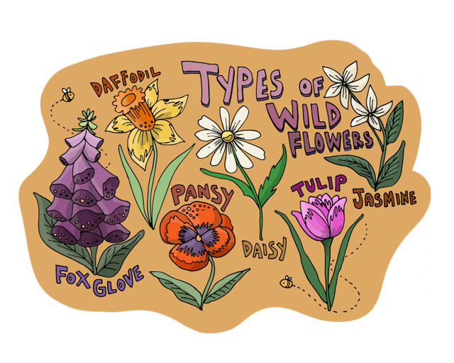 small digital flash illustration of different types of wildflowers