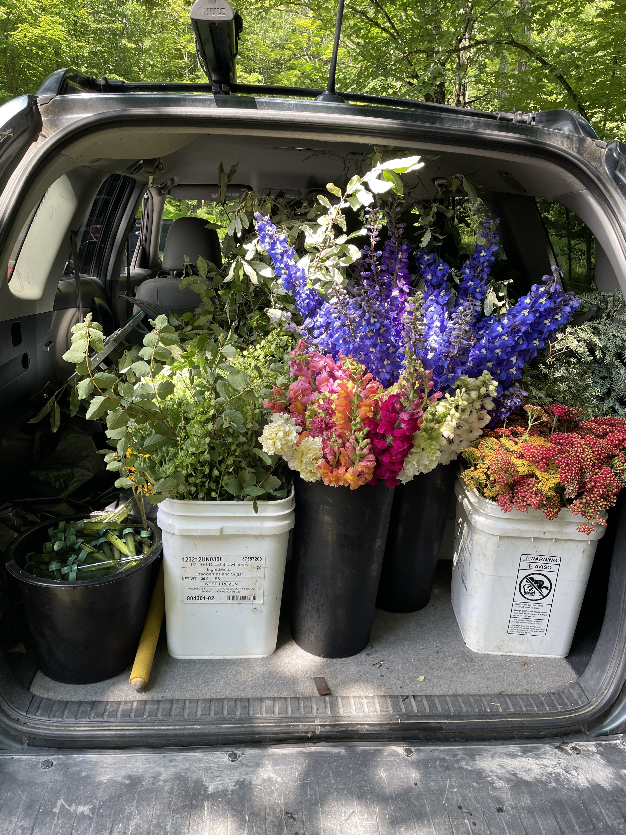Carload of flowers!