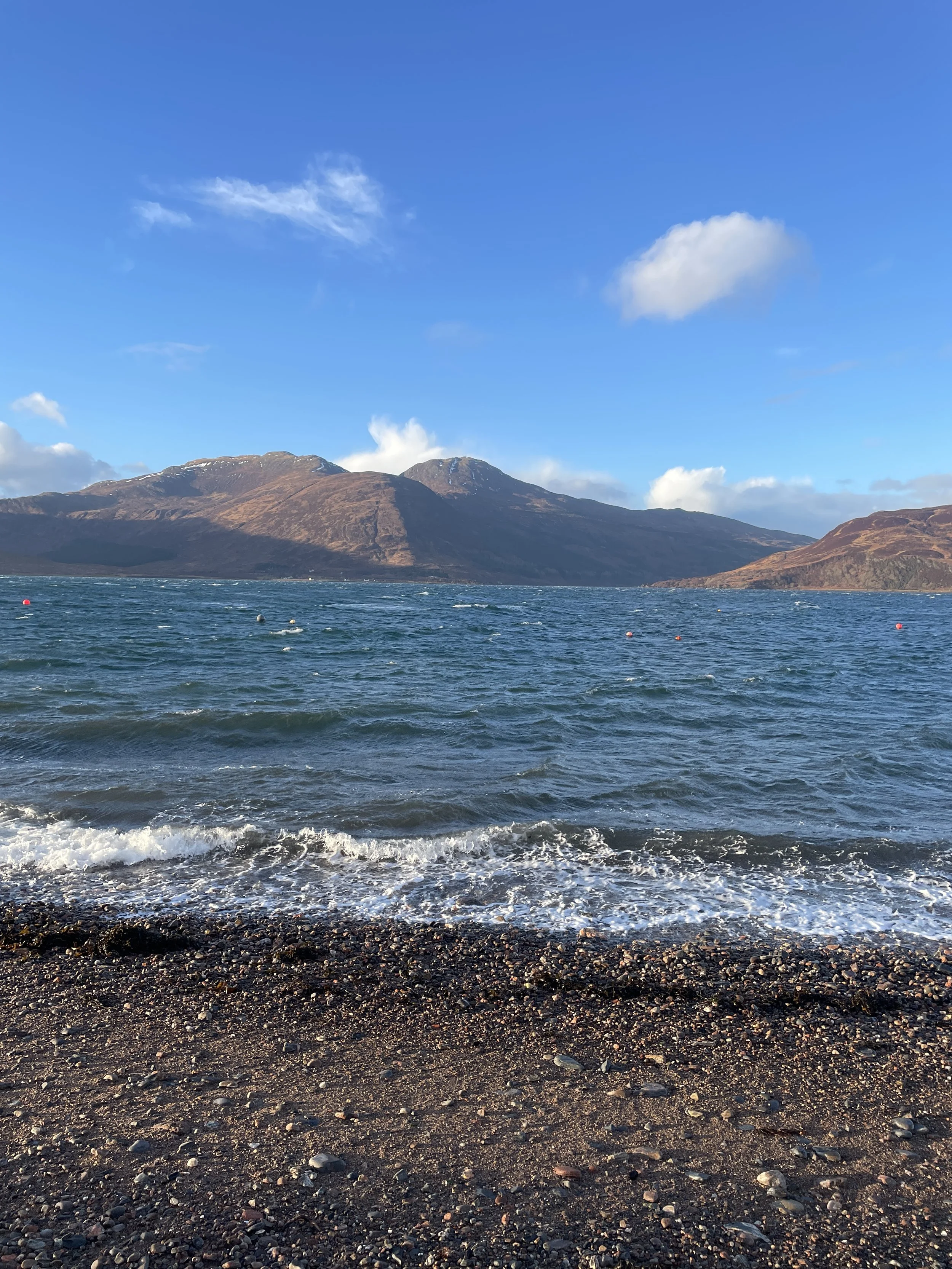 Scotland--the Hot Aches