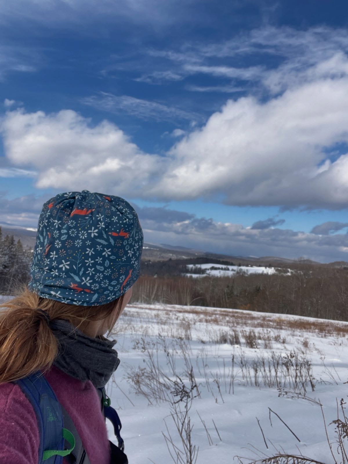 Snowshoein&rsquo; in Cabot ❄️