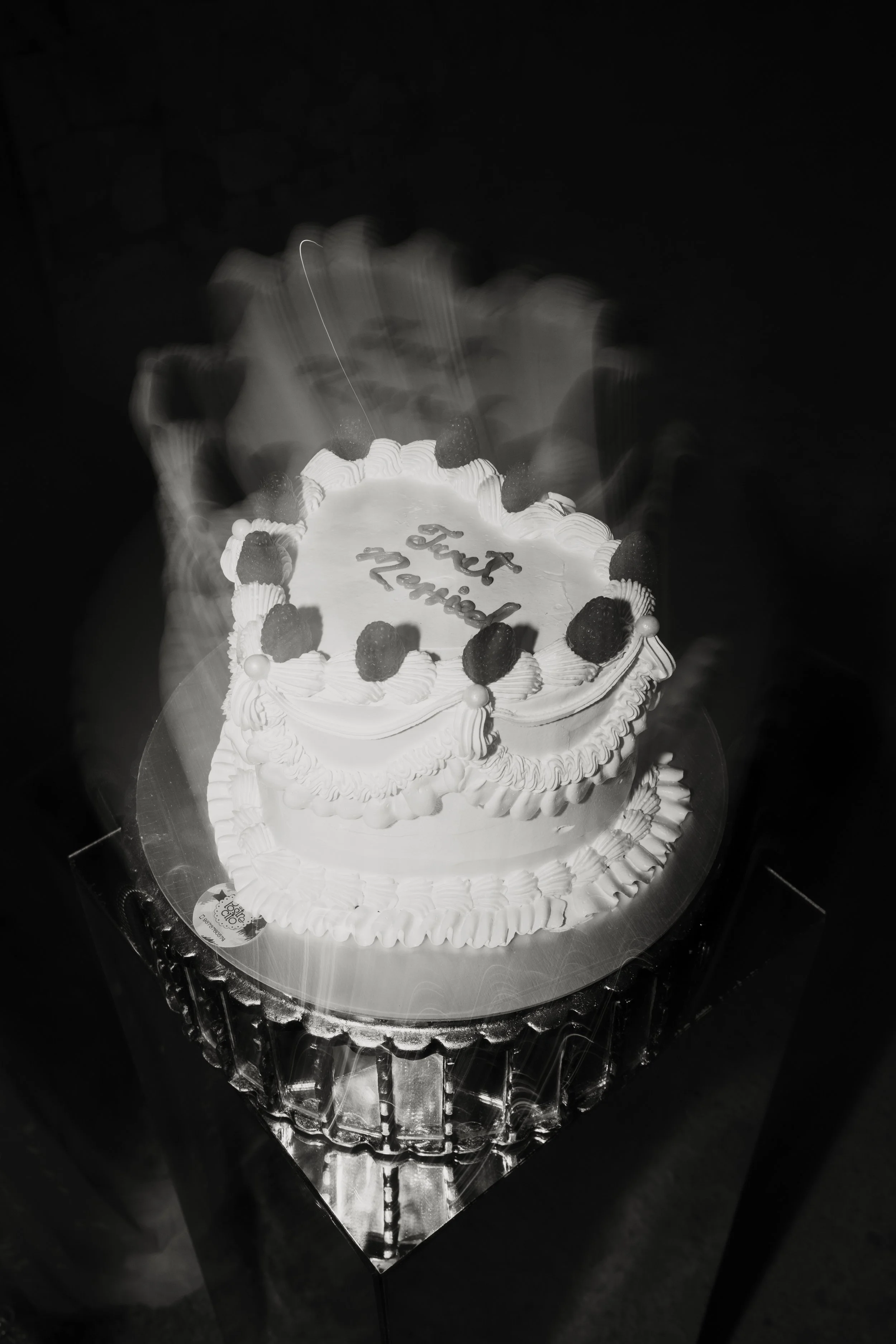 By-Hailey-Nicole-Photo-DFW-Texas-wedding-Photographer-Hopson-Lynch-B&W-155.jpg