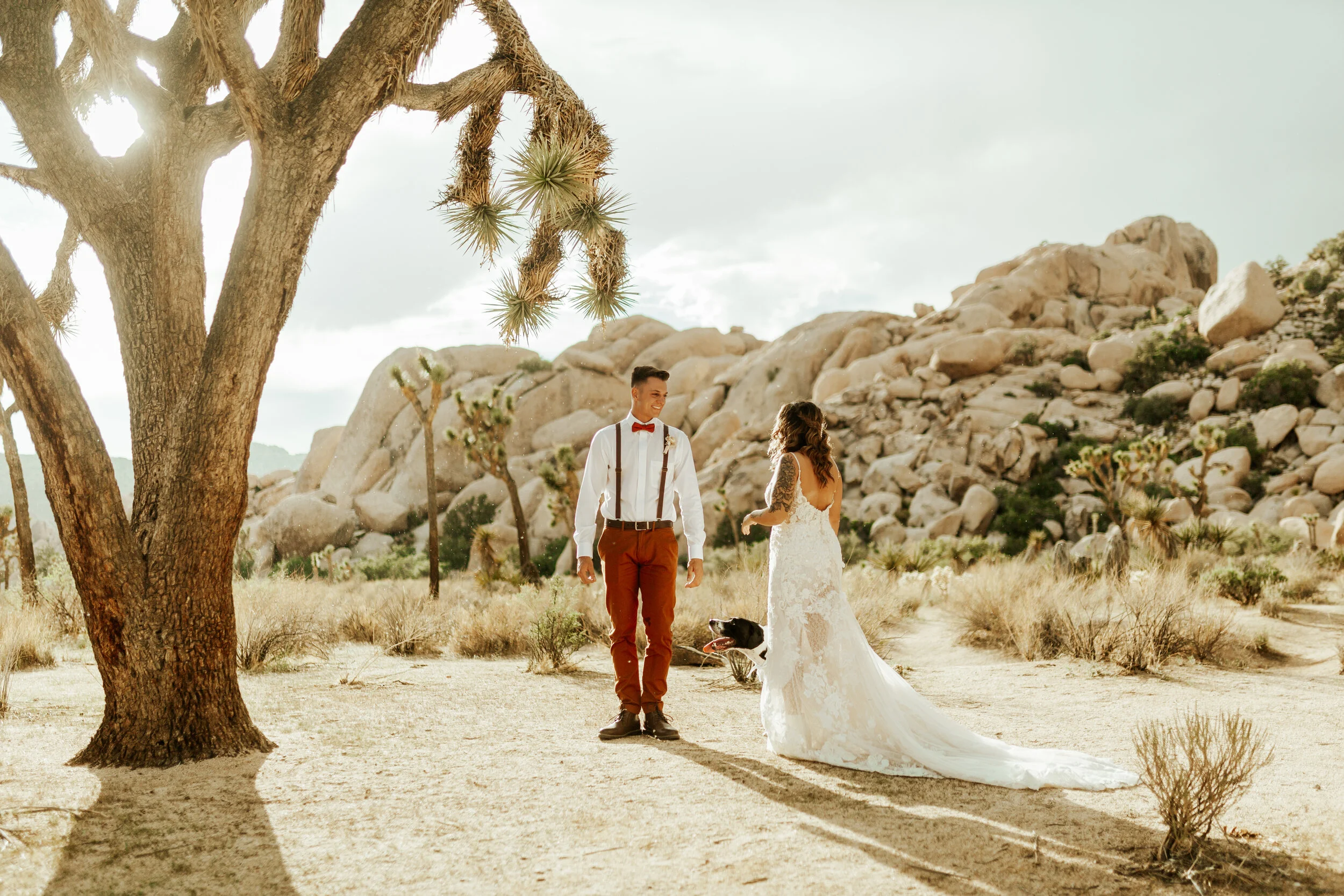Hailey Nicole Creative summertime Joshua Tree National Park intimate elopement