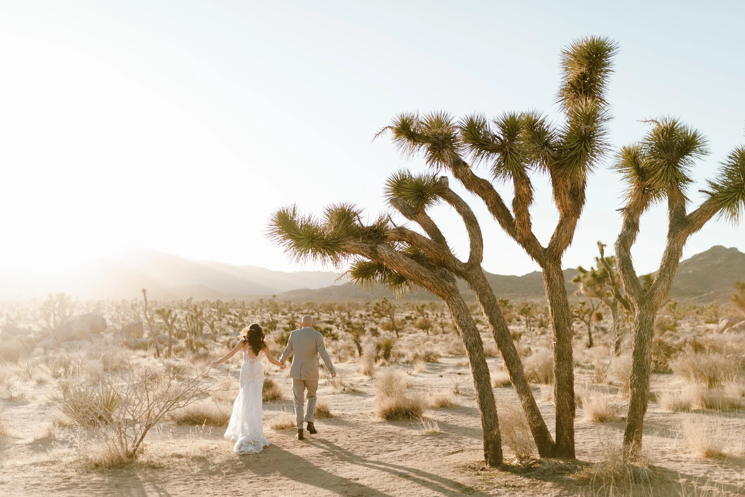 Hailey Nicole Creative | DFW Texas Wedding Photographer | Joshua Tree National Park + Palm Springs Private Estate Destination Elopement Photography
