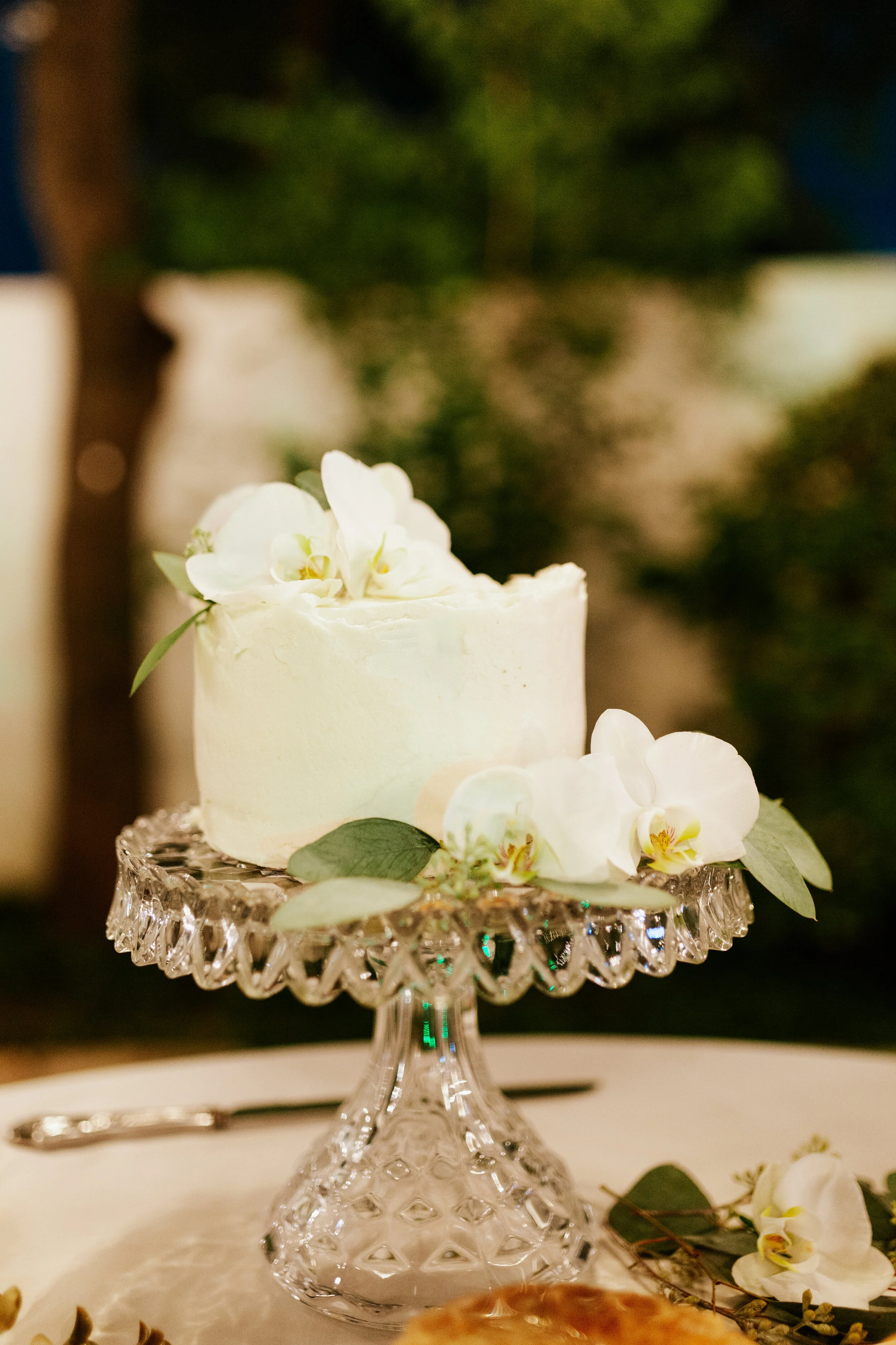 Hailey Nicole Creative modern, minimal, and romantic summer wedding at the Gardens at West Green in San Antonio, Texas