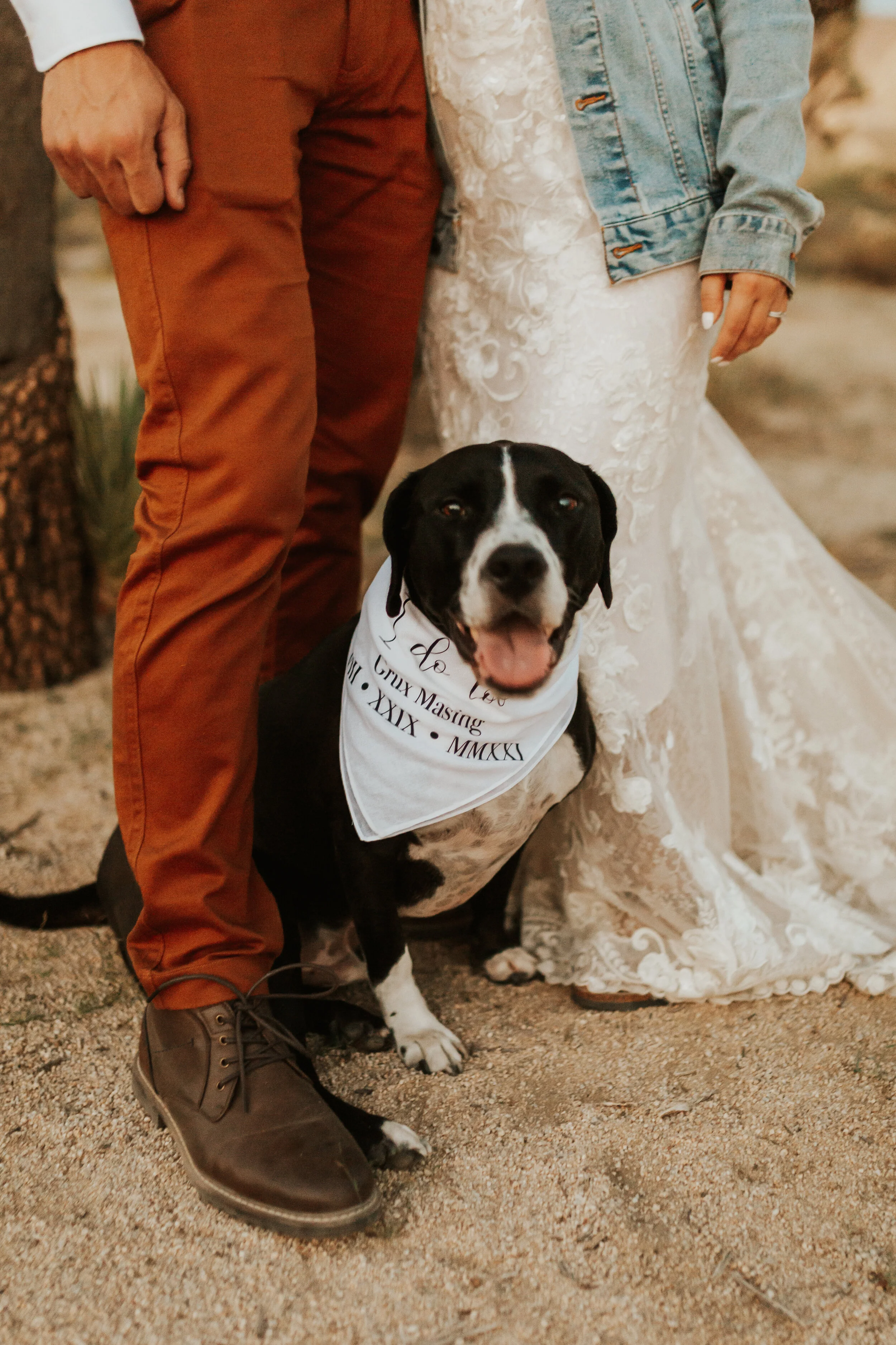 Hailey Nicole Creative summertime Joshua Tree National Park intimate elopement