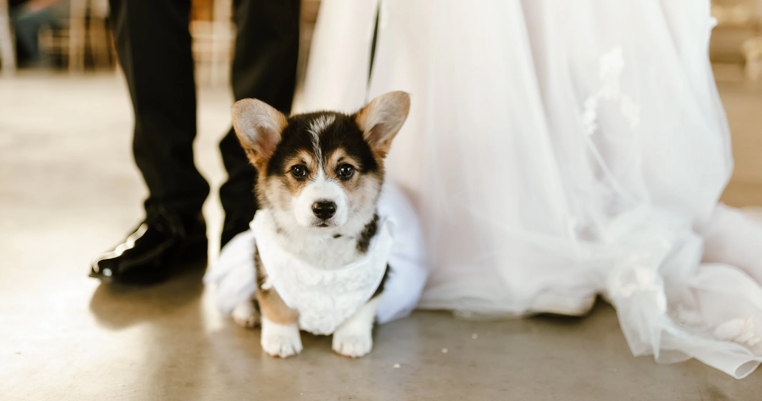 Hailey Nicole Creative | North Texas Western + Wedding Photographer | Rustic Boho Wedding in Tri-Cities, WA at Willow Inspired