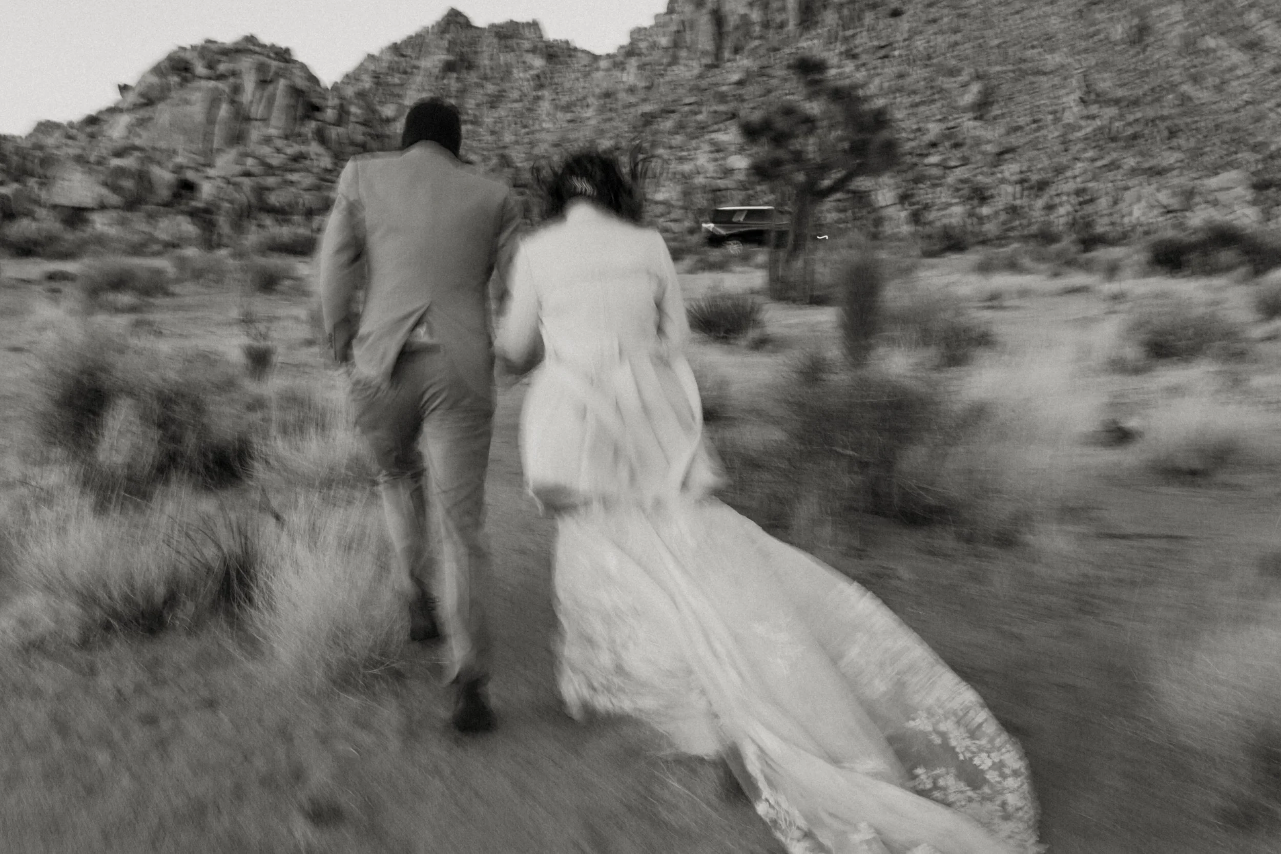 Hailey Nicole Creative | DFW Texas Wedding Photographer | Joshua Tree National Park + Palm Springs Private Estate Destination Elopement Photography
