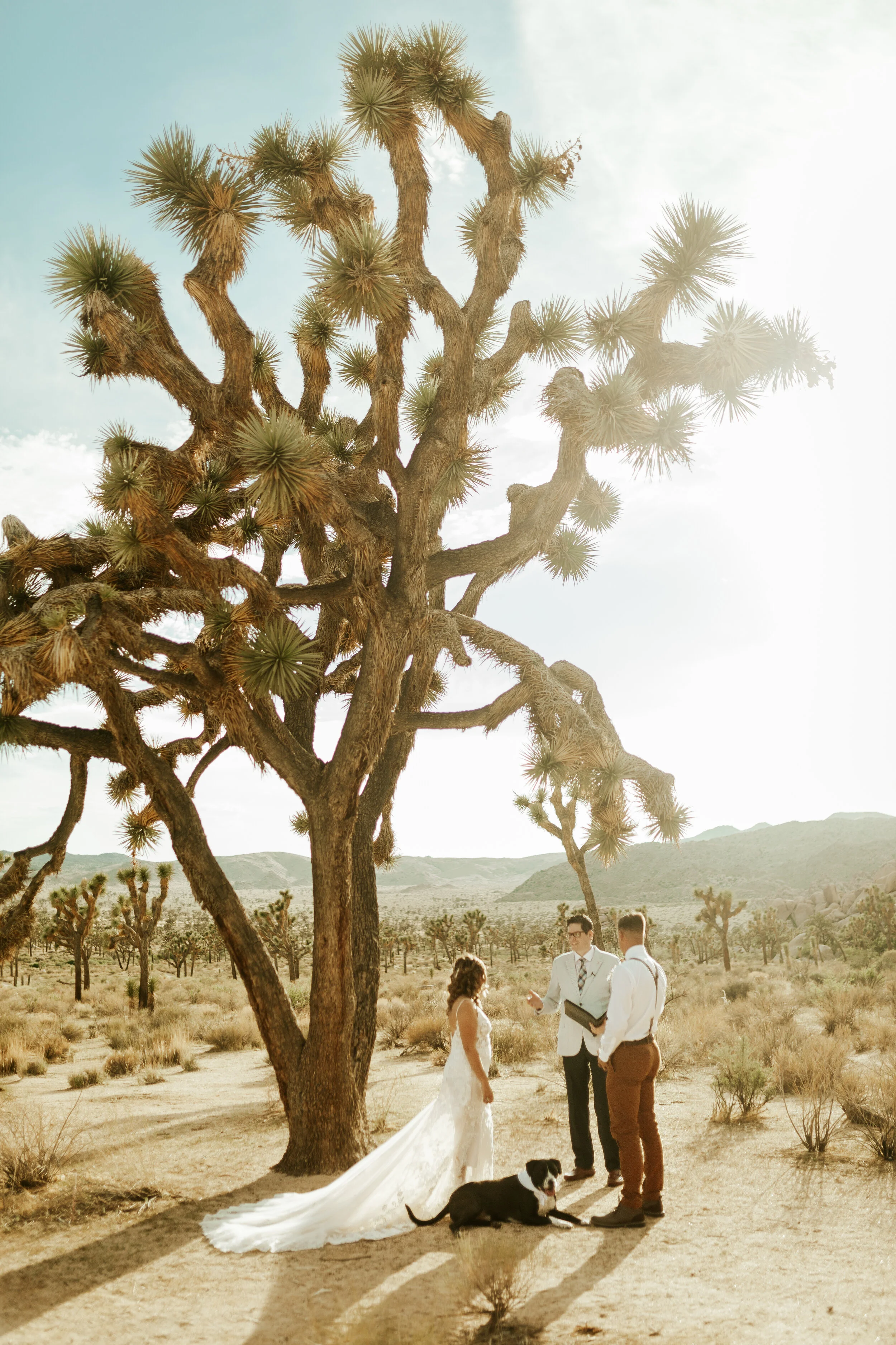 Hailey Nicole Creative summertime Joshua Tree National Park intimate elopement