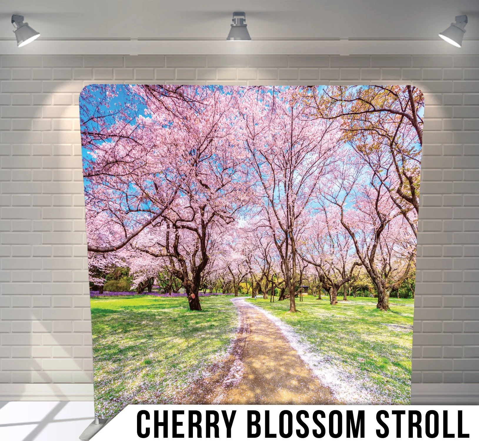 CherryBlossomStroll.jpg