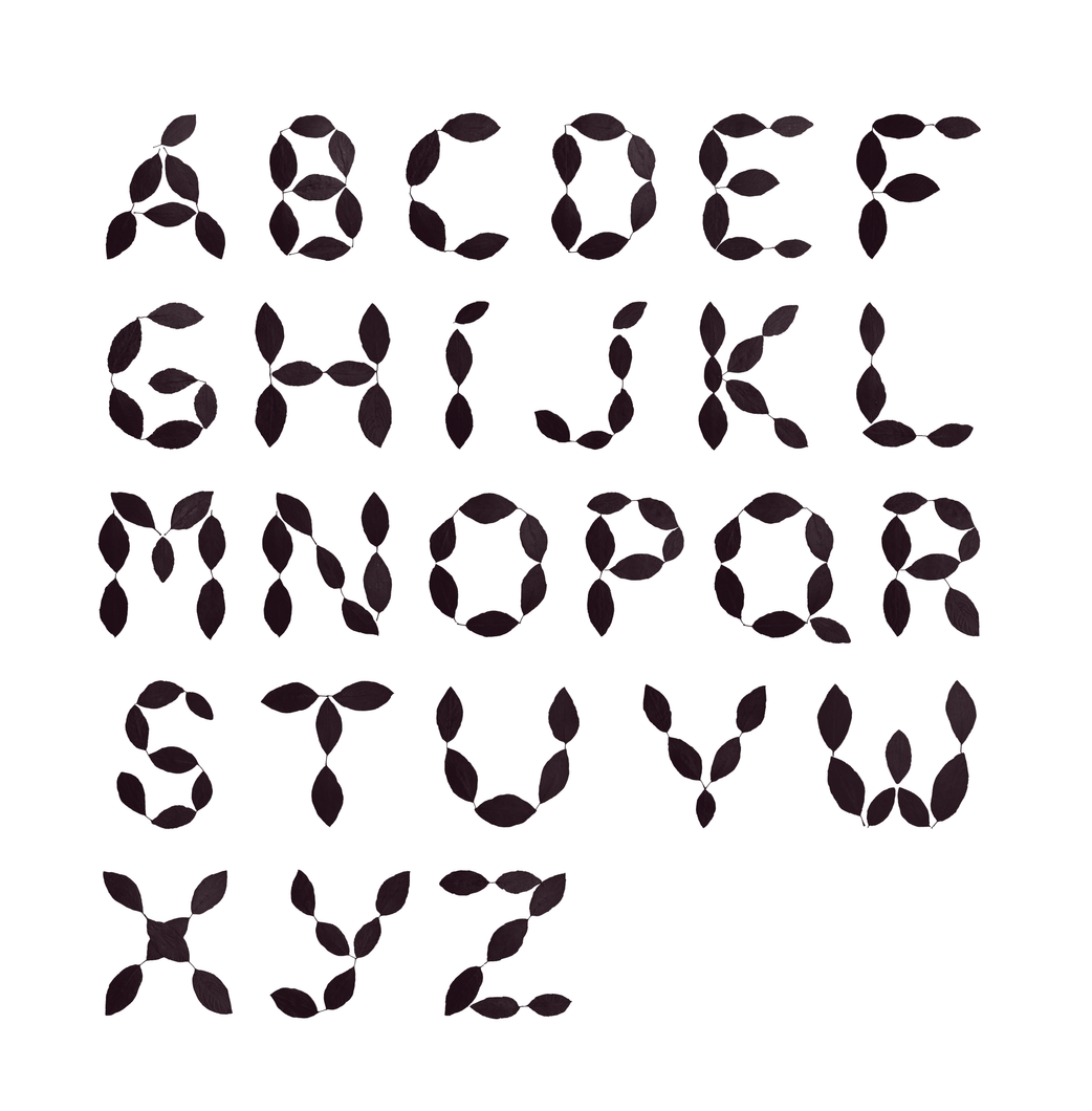 A.png