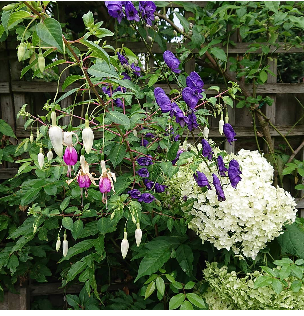 Planting Schemes