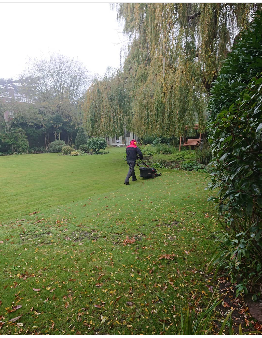 General Garden Maintenance