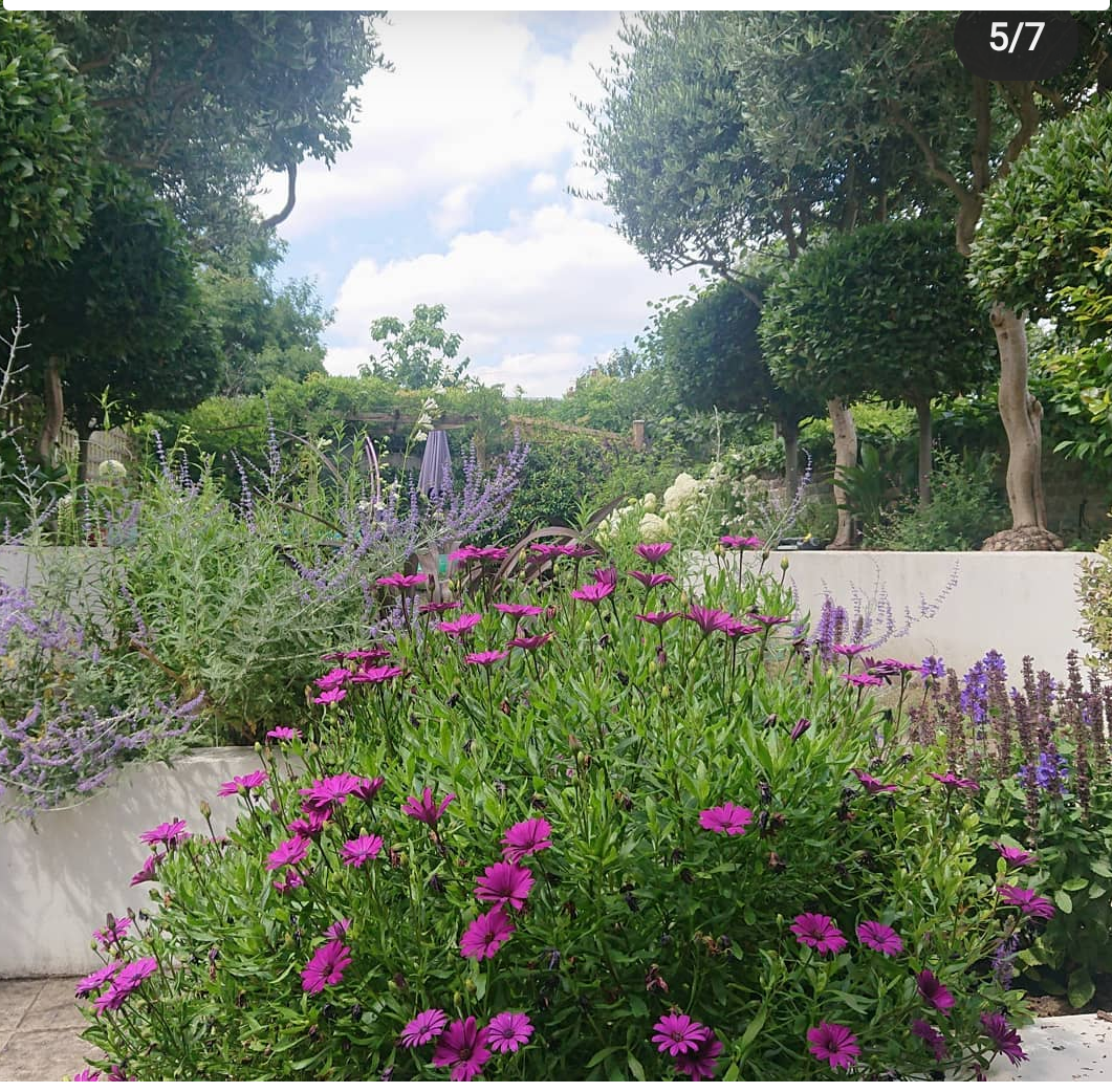 Screenshot_20210218-182142 (2).png